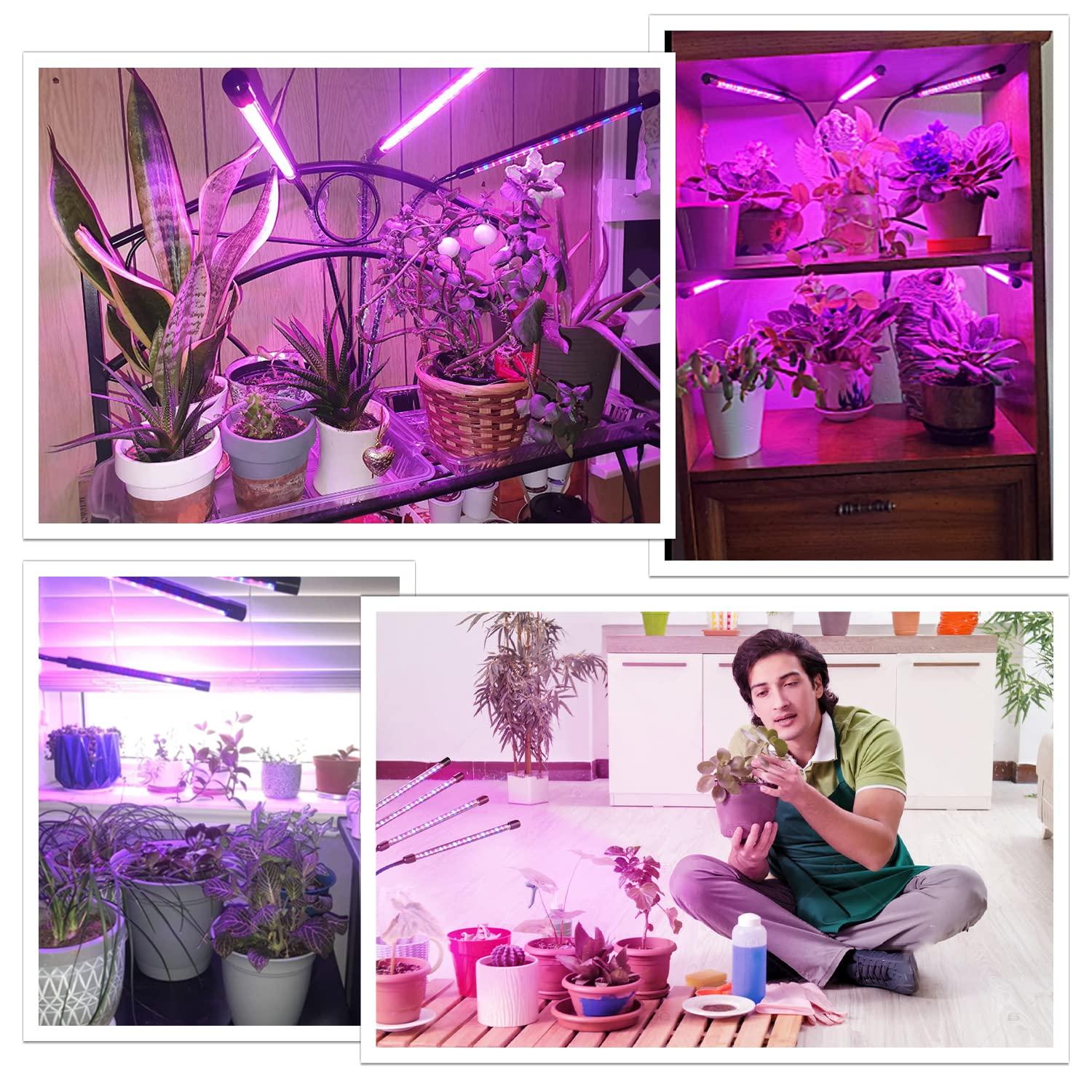 bseah Grow Light Plant Lights for Indoor Plants, Clip-On Full Spectrum Plant Grow Lights, Auto ON & Off Timer 3/9/12H, Dimmable Brightness & 3 Light Modes