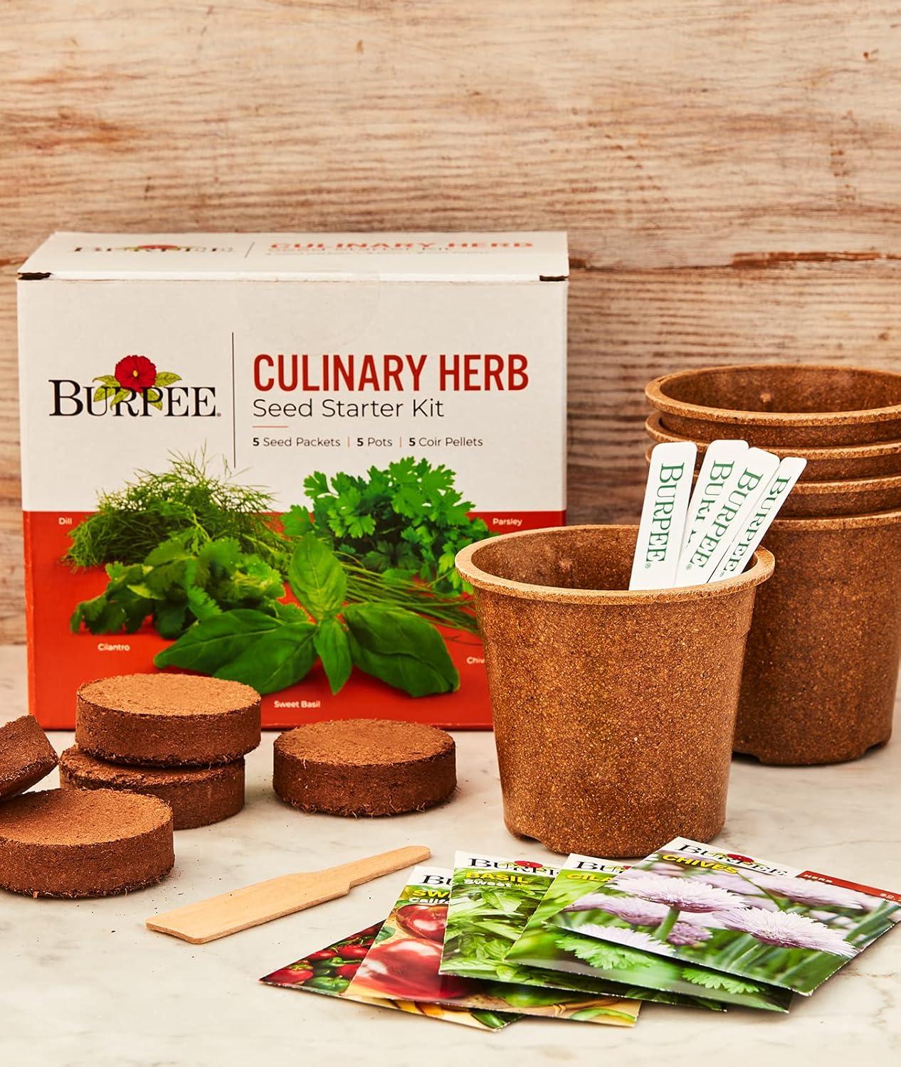 Burpee Culinary Herb Seed Starter Kit