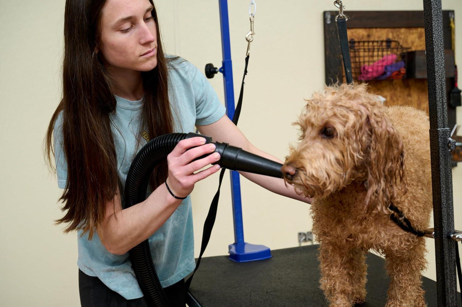 Black Steel Air Force Master Blaster Pet Dryer with Hose