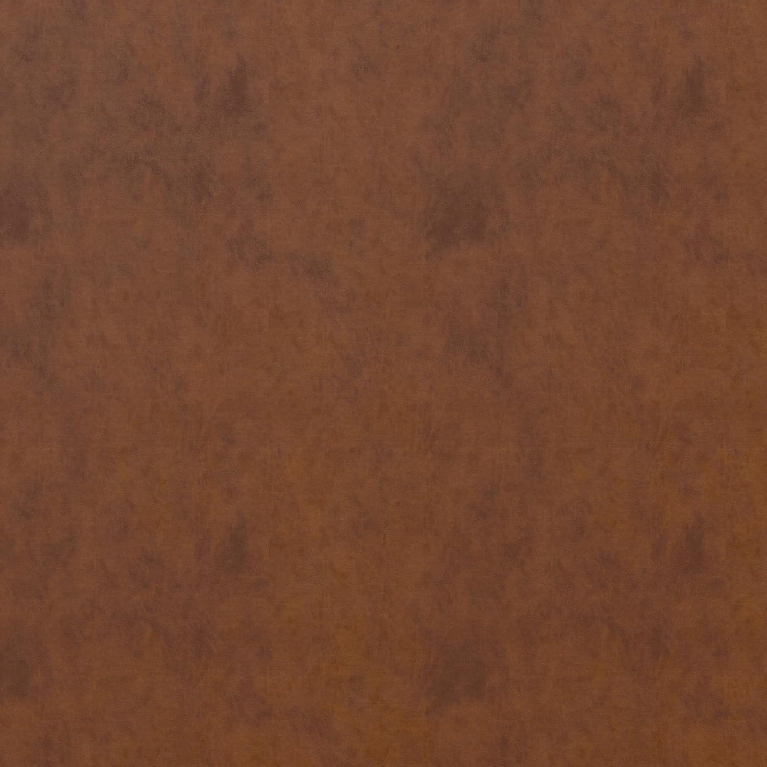 Dorel Home Products Parker Faux Leather Futon with Storage Camel