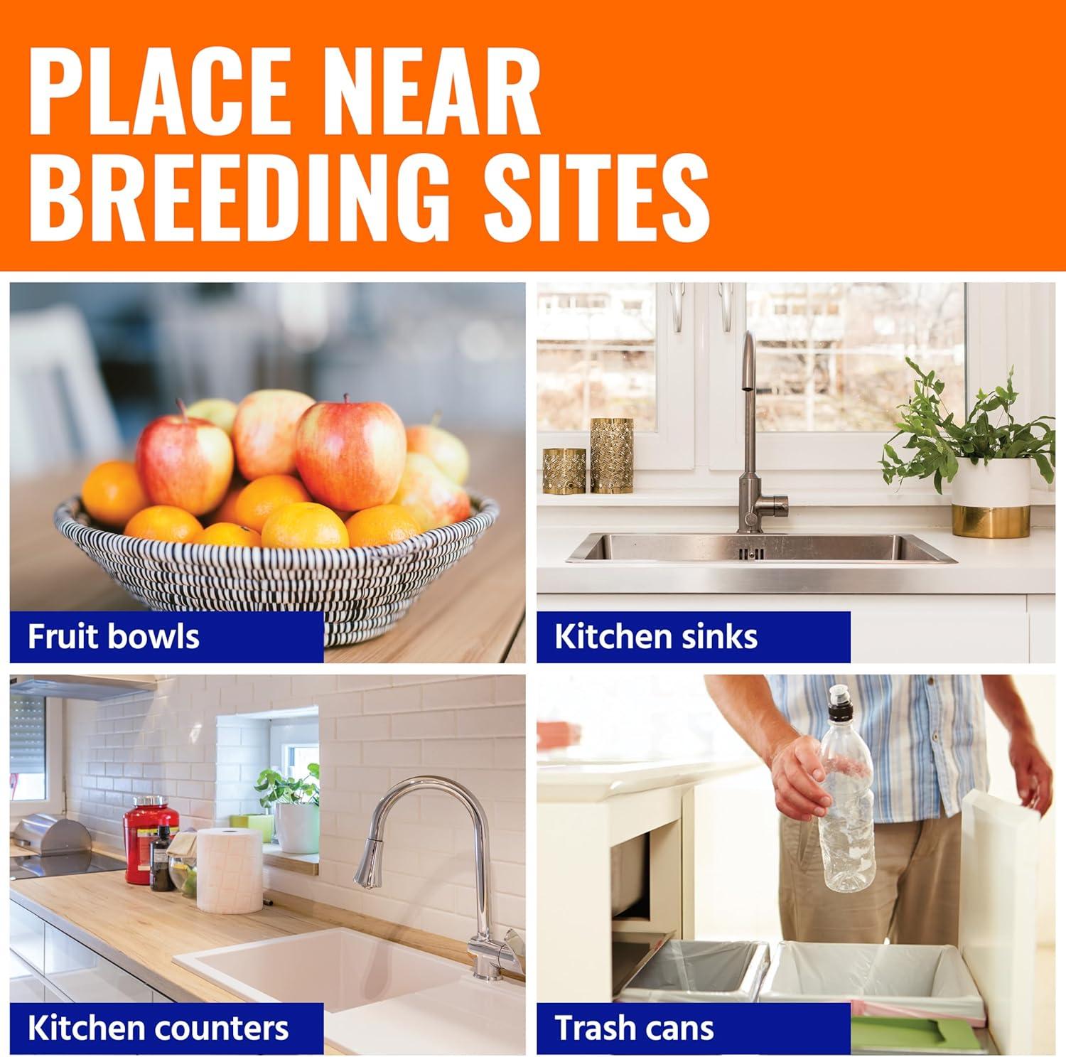 Terro Fruit Fly Trap, 6 Pack