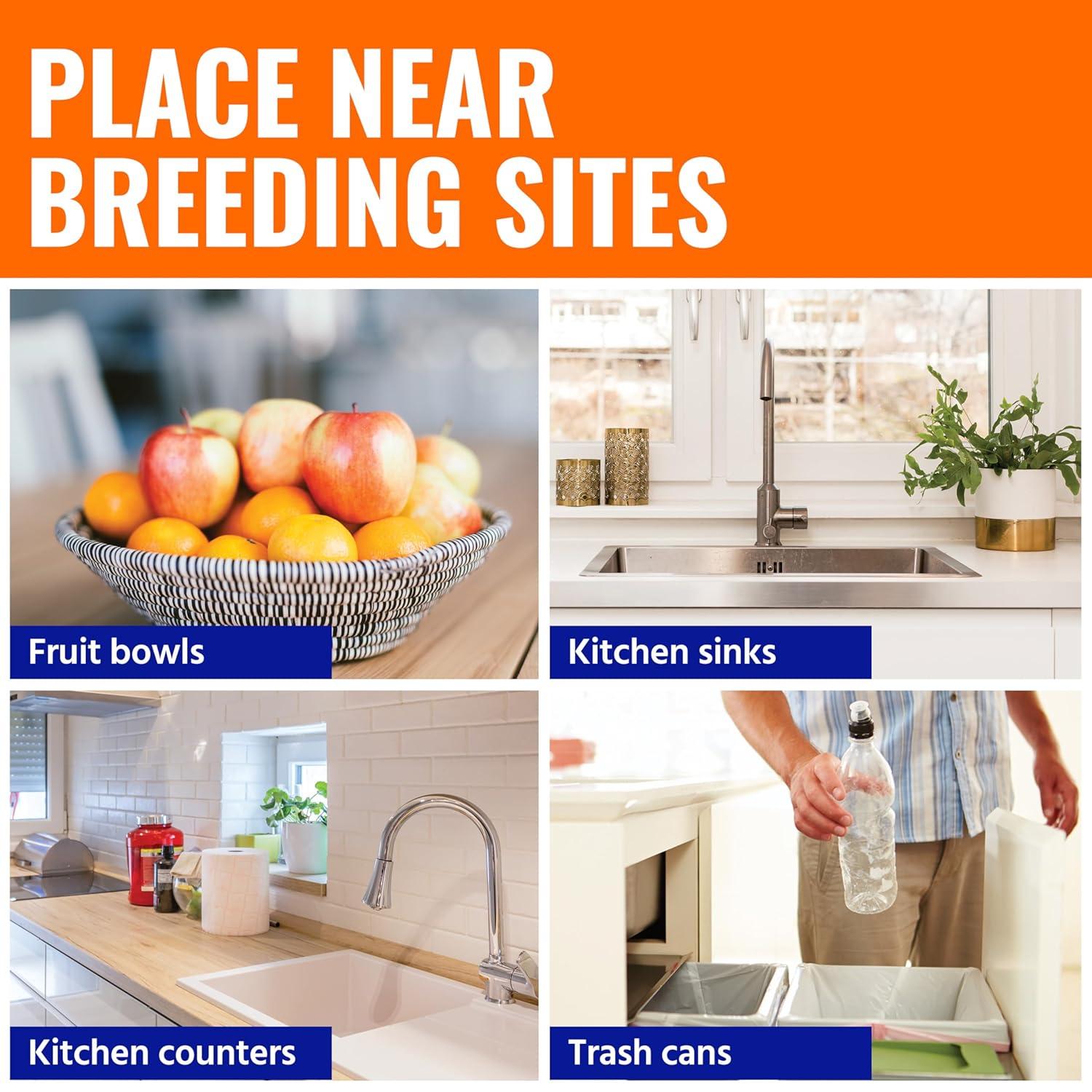 Terro Fruit Fly Trap, 6 Pack