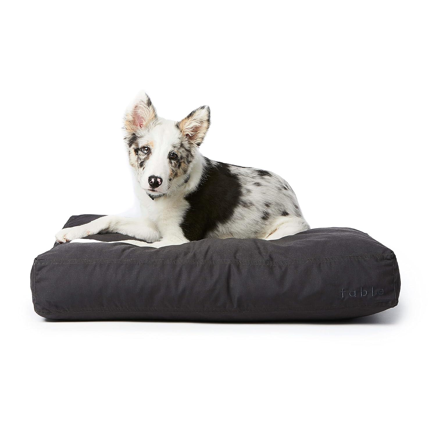 Fable Pets Orthopedic Pet Bed