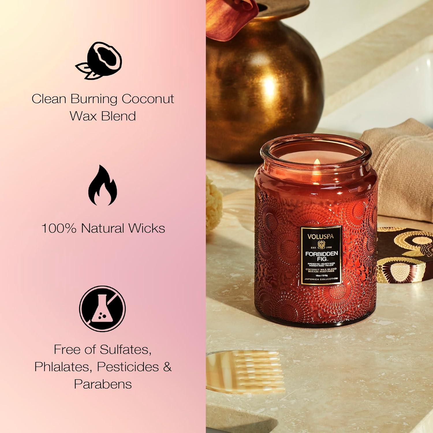 Forbidden Fig Large Jar Candle with Japonica Pattern