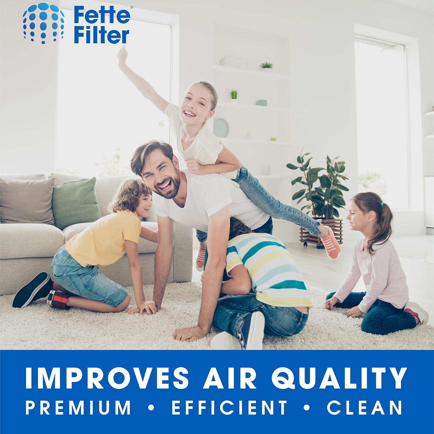 LifeSupplyUSA 2-in-1 True HEPA Air Cleaner Replacement Filter + Activated Carbon Charcoal Compatible with Hathaspace HSP001 Smart Air Purifiers