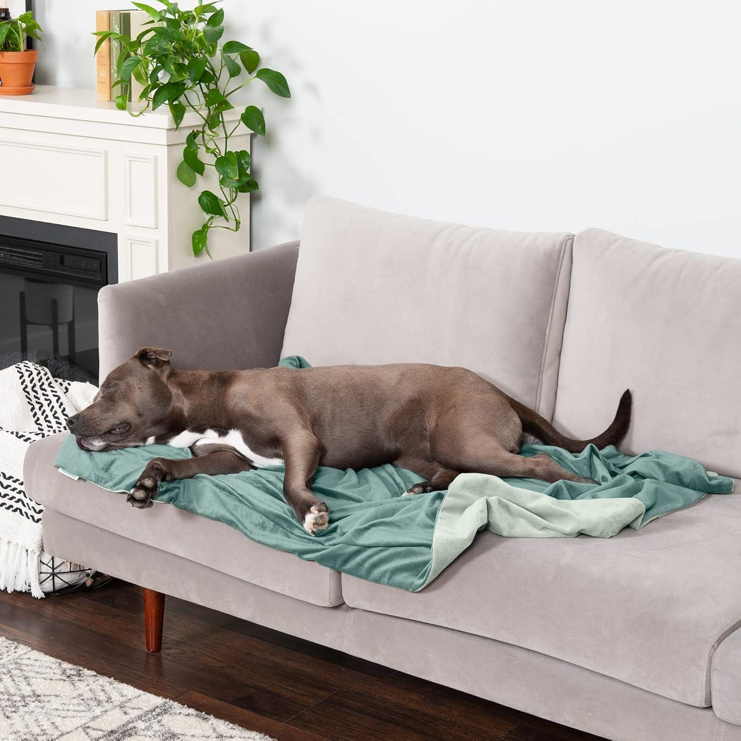 FurHaven Waterproof Faux Velvet Throw Blanket