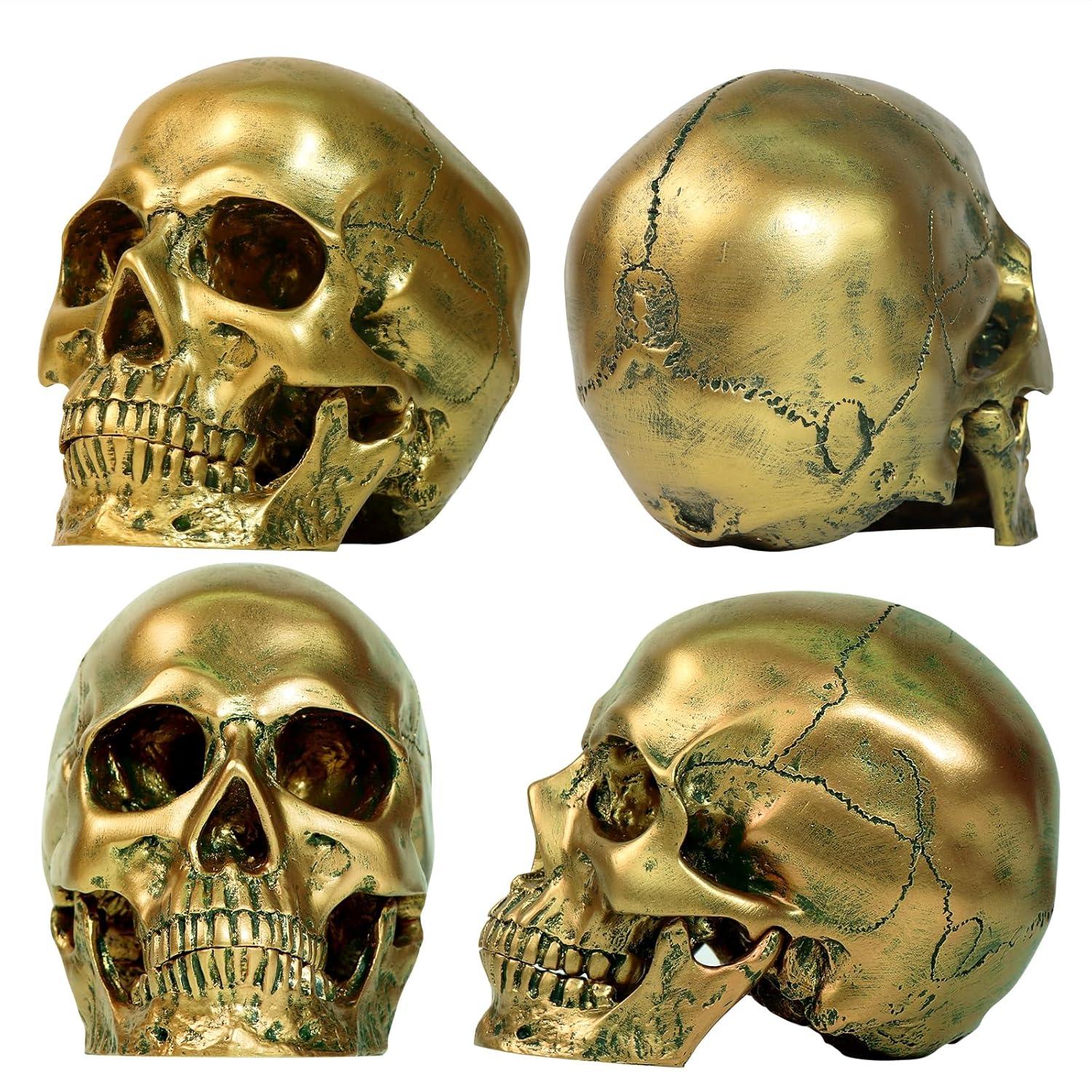 Resin Gold Skull Model - Life Size High Fidelity Sculpture for Halloween Decor Statues, Home Decoration & Artistic Display