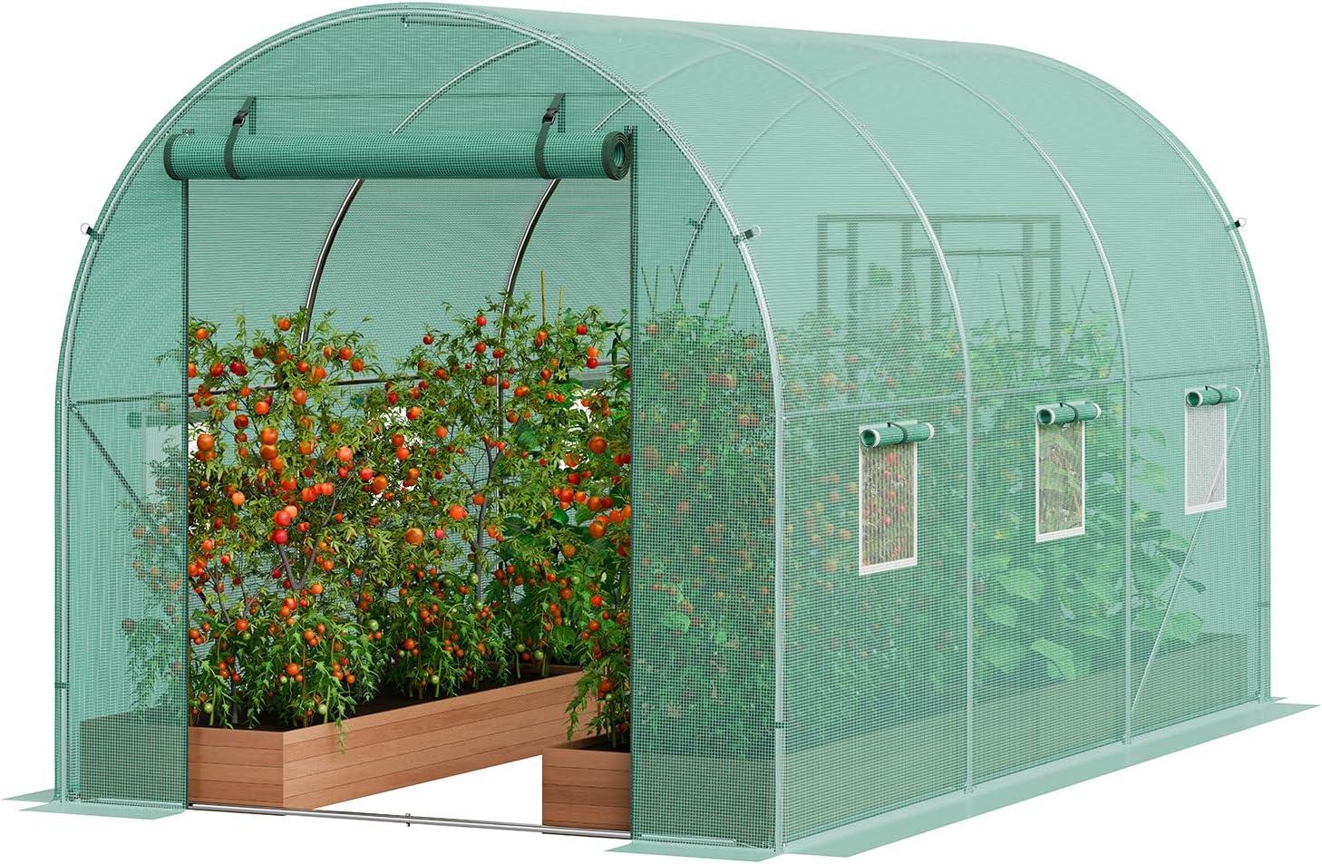 Large Green Walk-In Tunnel Greenhouse with Galvanized Steel Frame