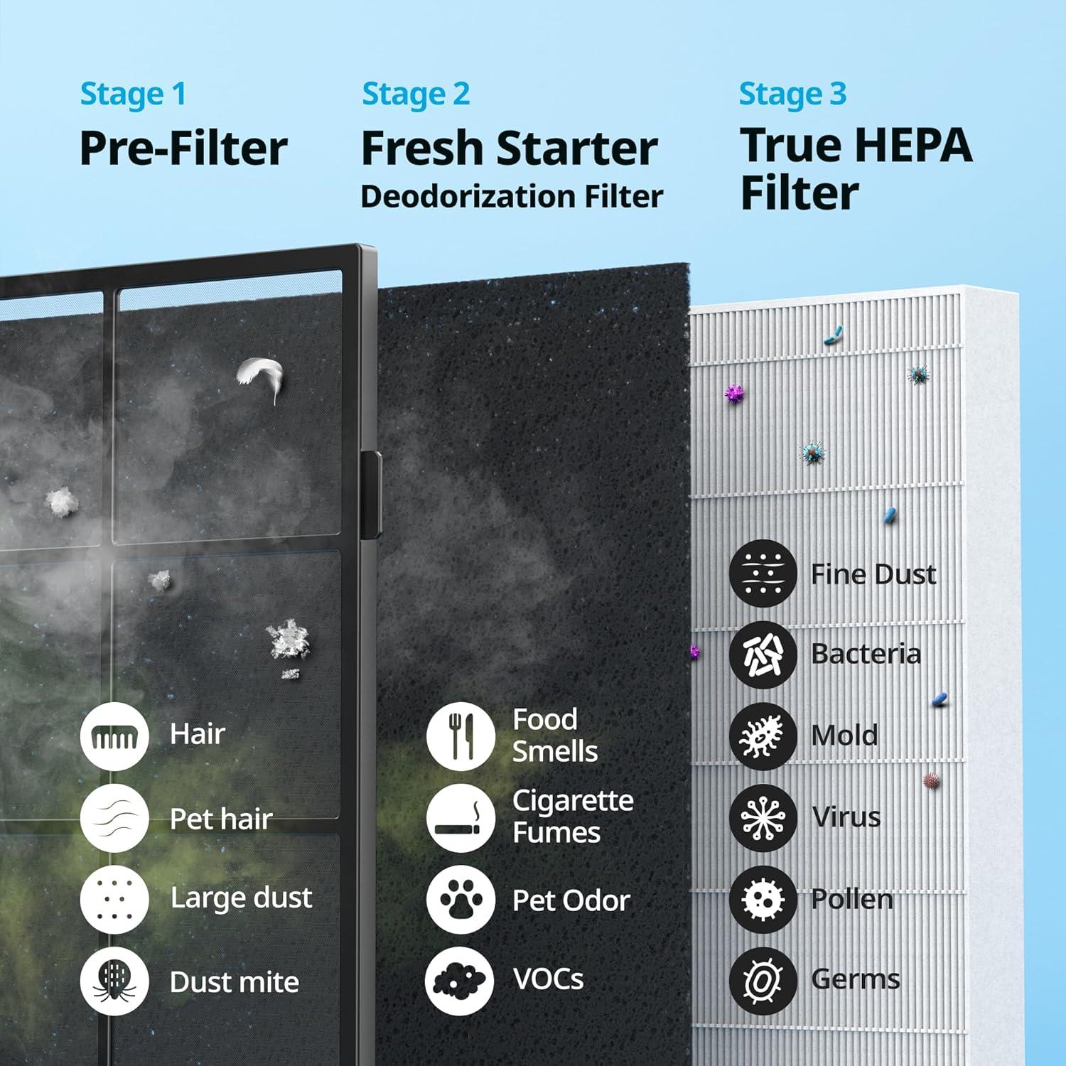 Black Ionic HEPA Air Purifier with Odor Absorbing Filter