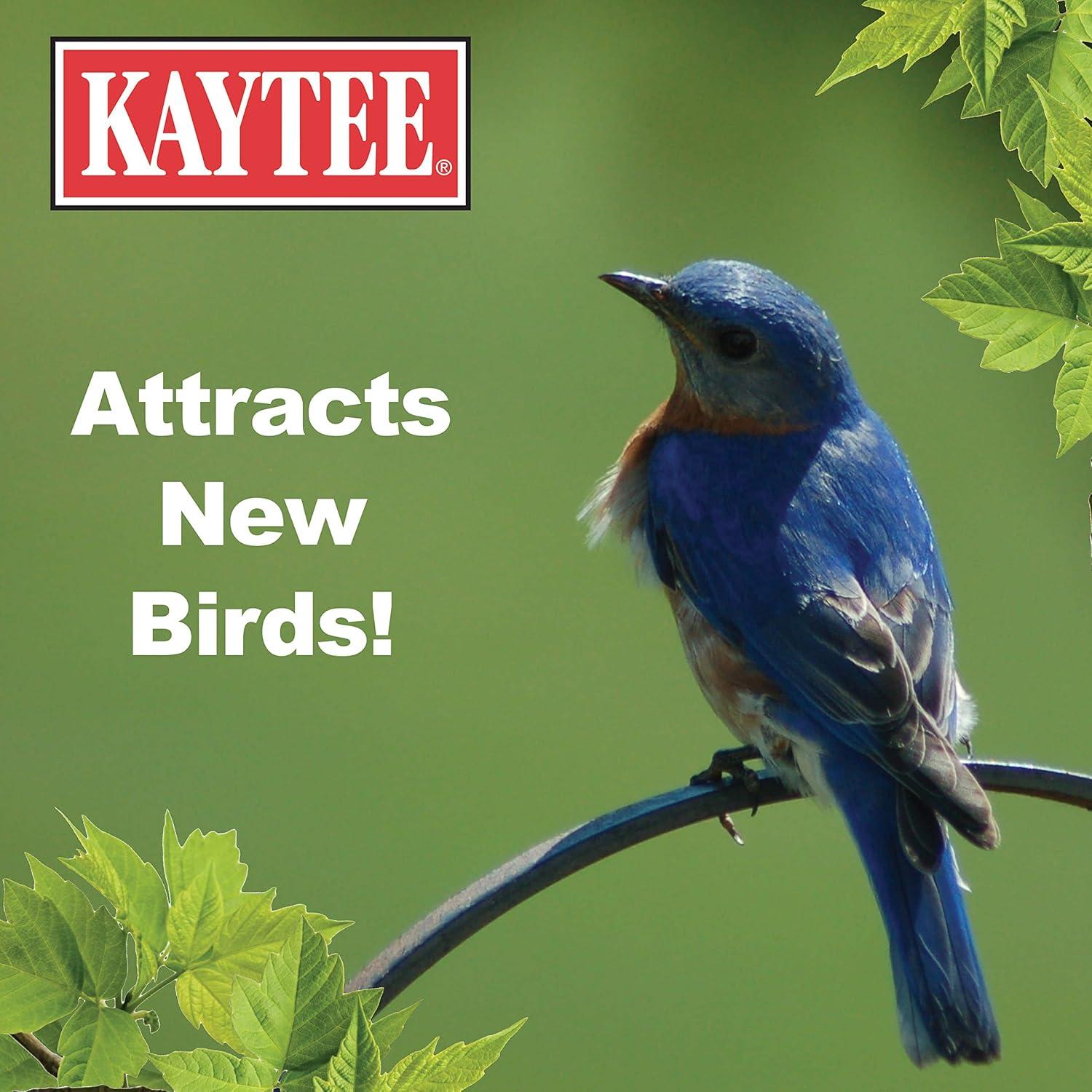 Kaytee Bluebird Dried Mealworm Mealworms 3.5 oz
