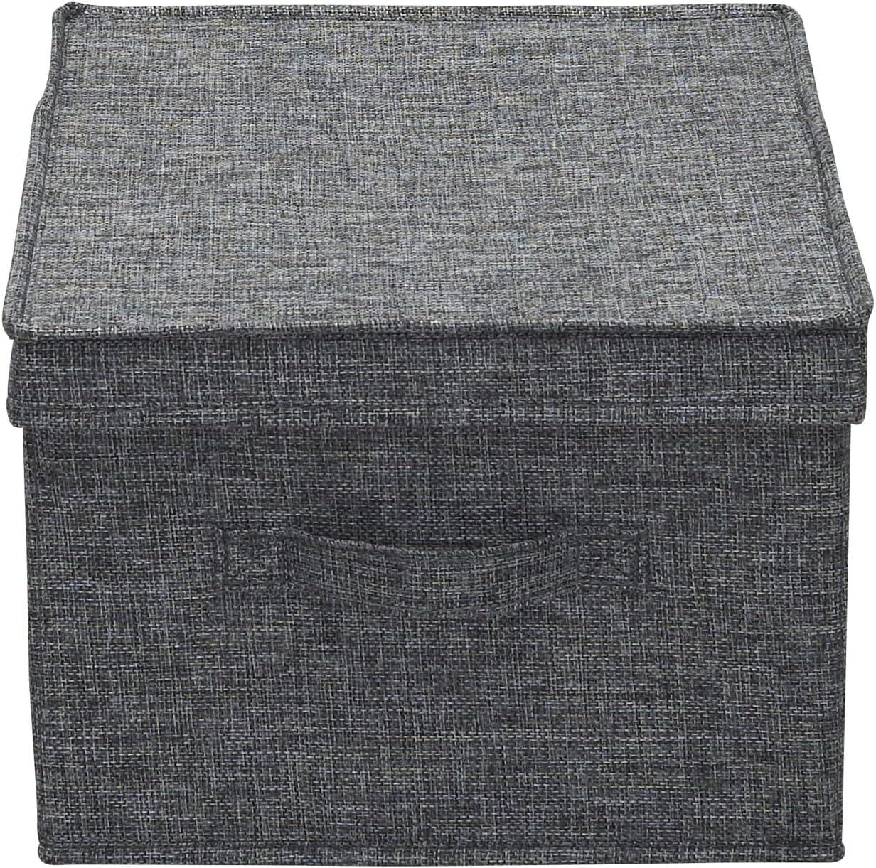 Household Essentials Household Essentials Fabric Bin (Set of 2)