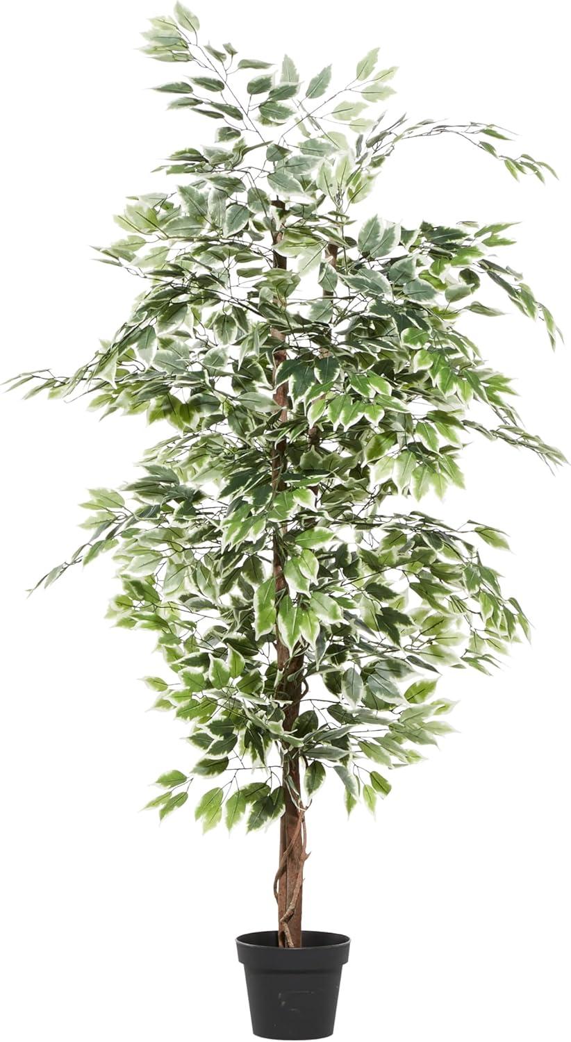 DecMode 73" Artificial Ficus Tree in Realistic Leaves and Black Plastic Pot