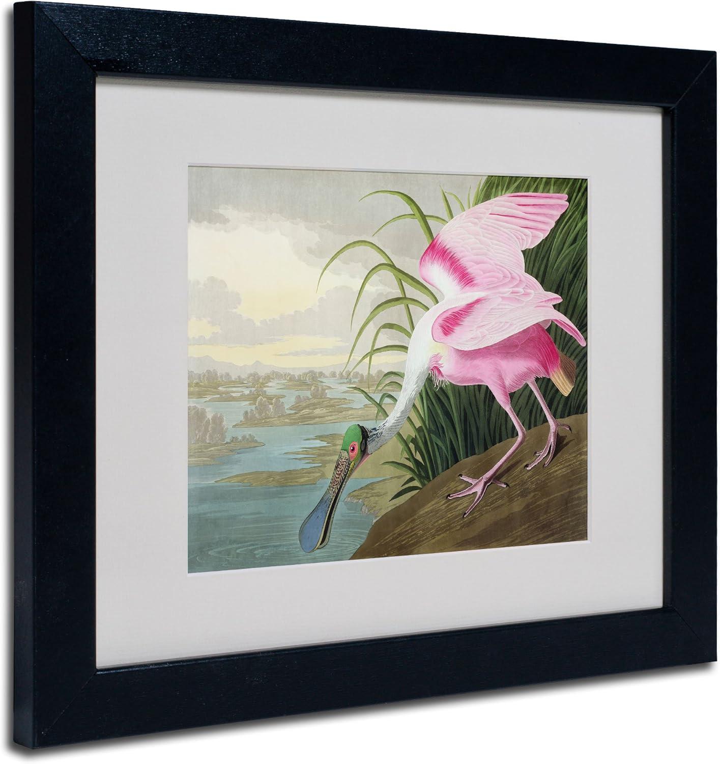 "Roseate Spoonbill" by John James Audubon Matted Framed Painting Print