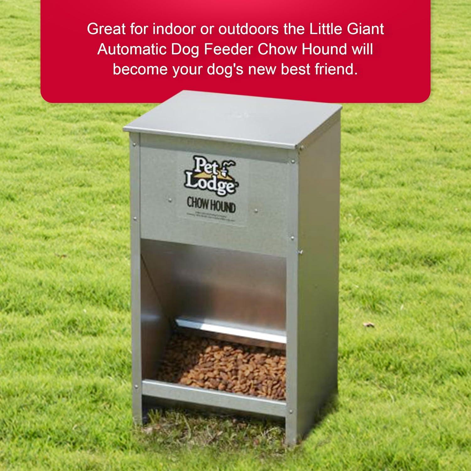 Pet Lodge Dry Food Automatic Steel Dog Feeder Chow Hound 25 Pound Capacity