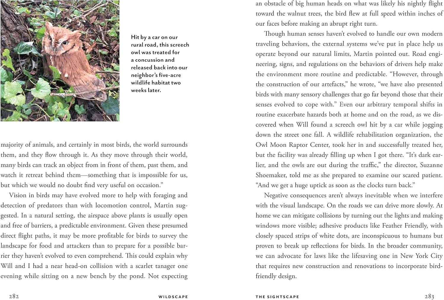 Wildscape Hardcover Book: Sensory Wonders of Nature