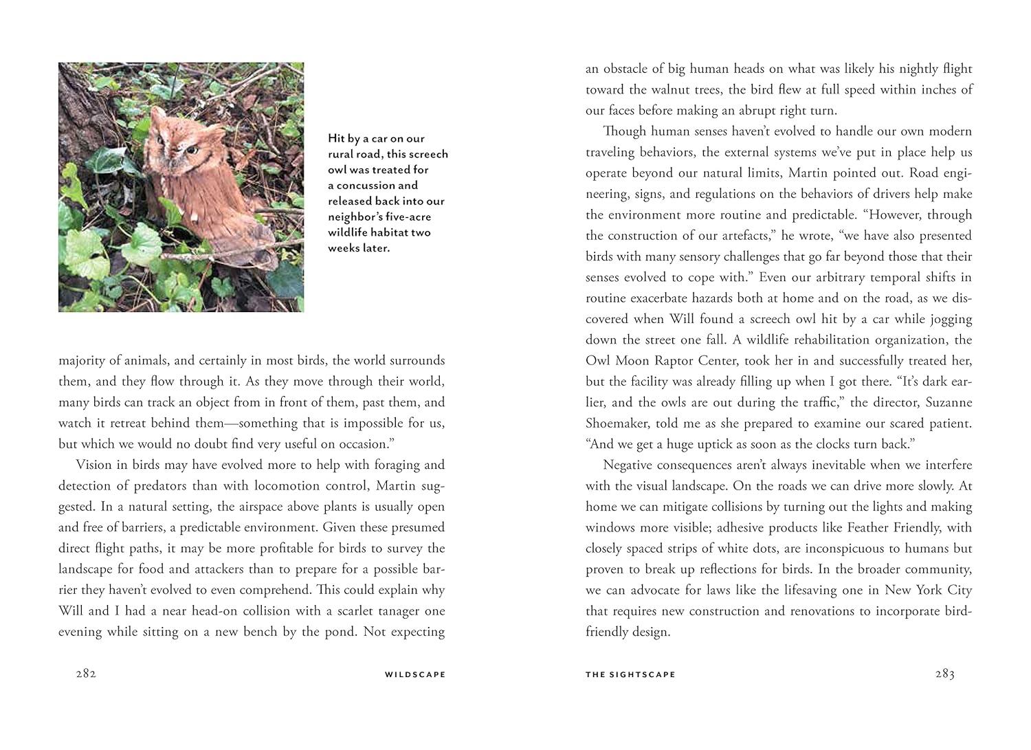 Wildscape Hardcover Book: Sensory Wonders of Nature