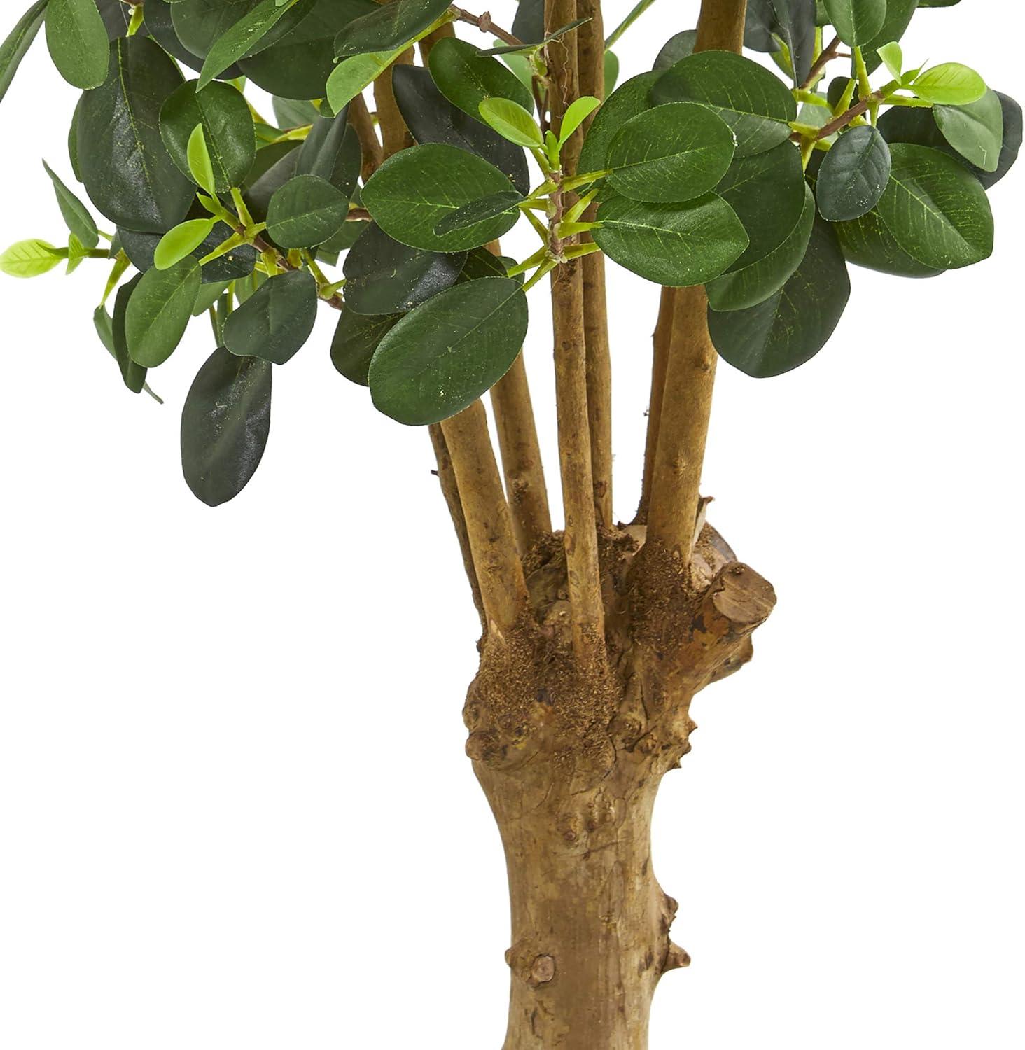 Nearly Natural 3' Artificial Panda Ficus Tree in Pot Green - Lifelike Silk Foliage, Indoor Decor