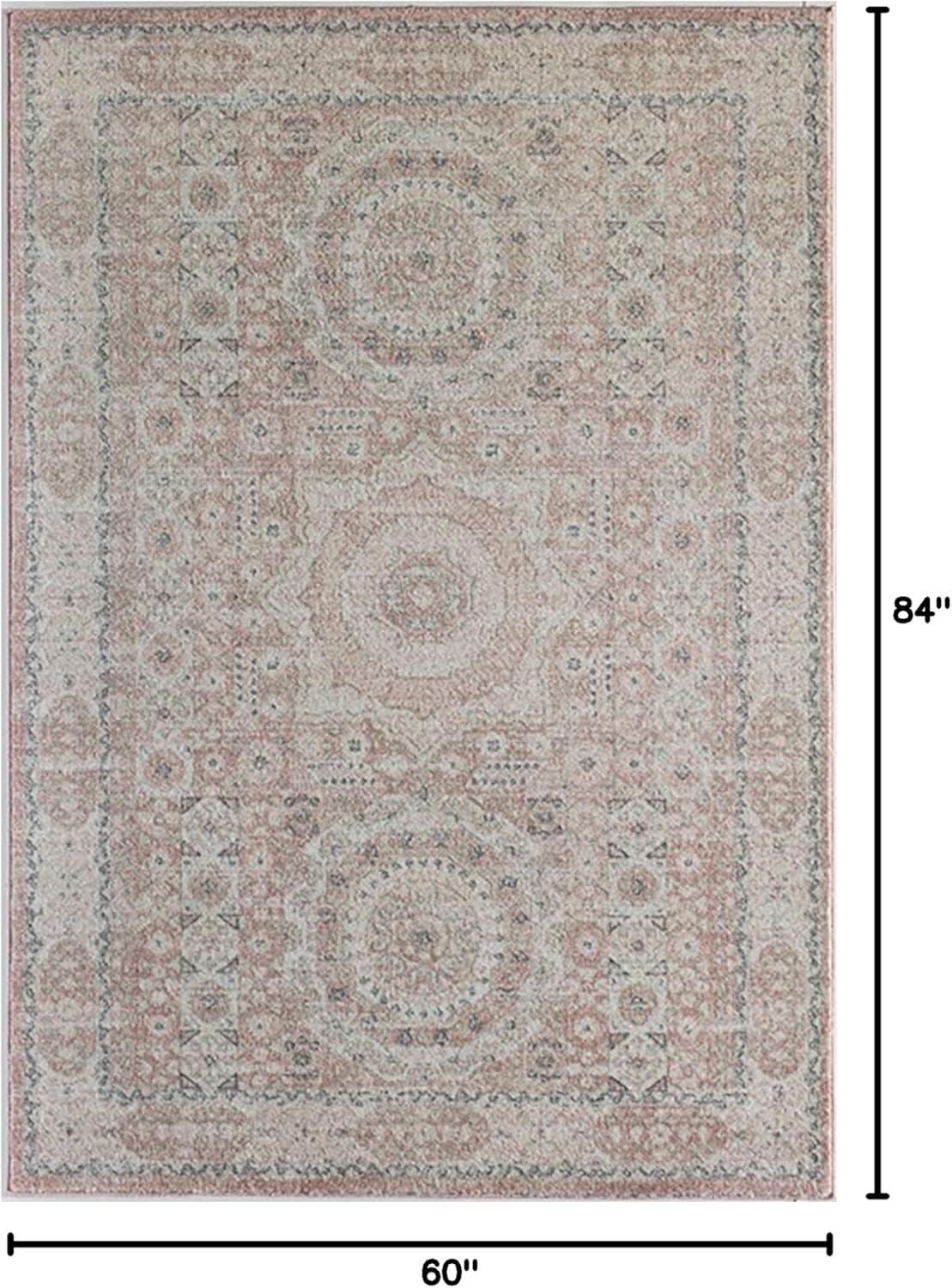 Rugs America Harper Pink Transitional Vintage Area Rug