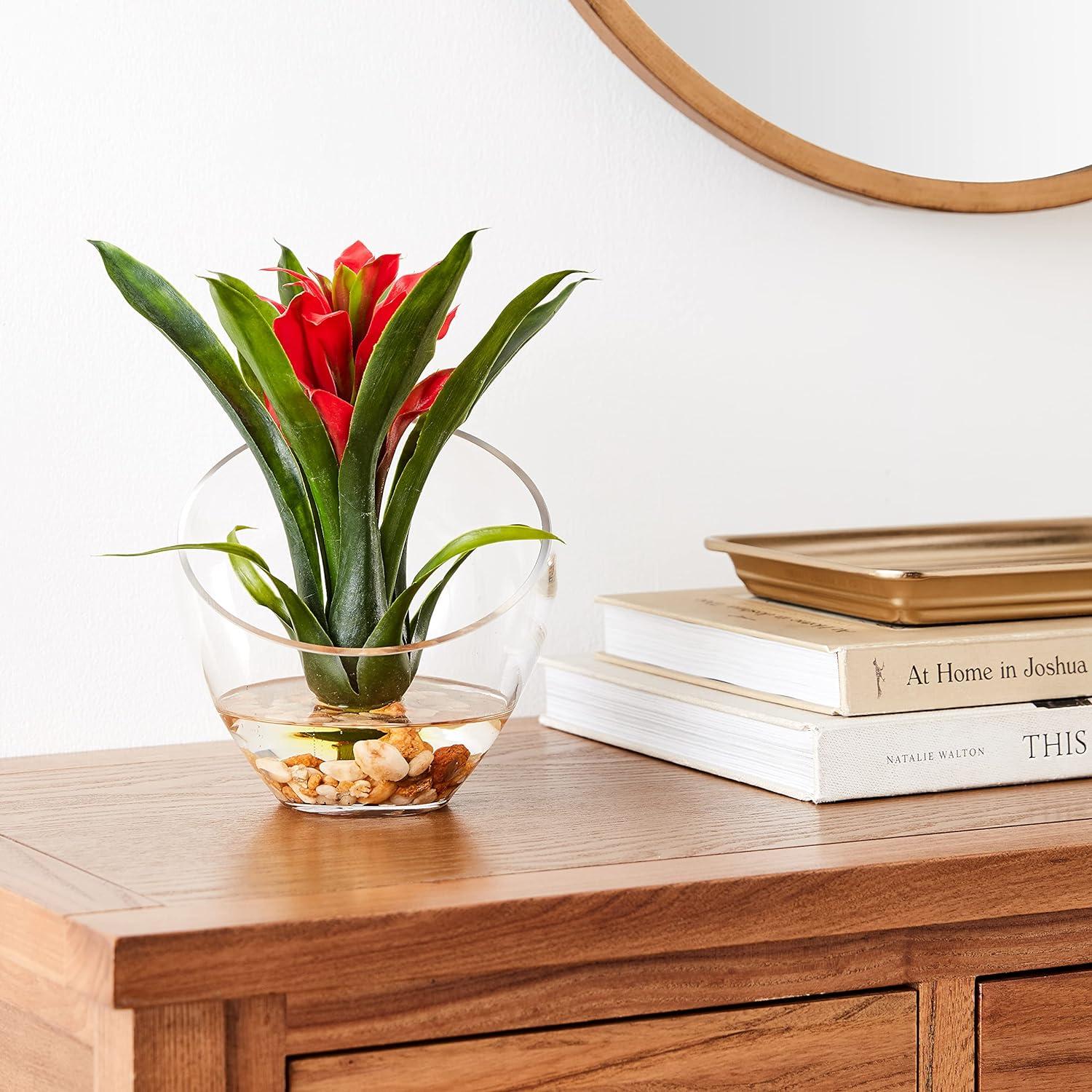Modern Glass Vase with Lifelike Tropical Bromeliad Floral Arrangement