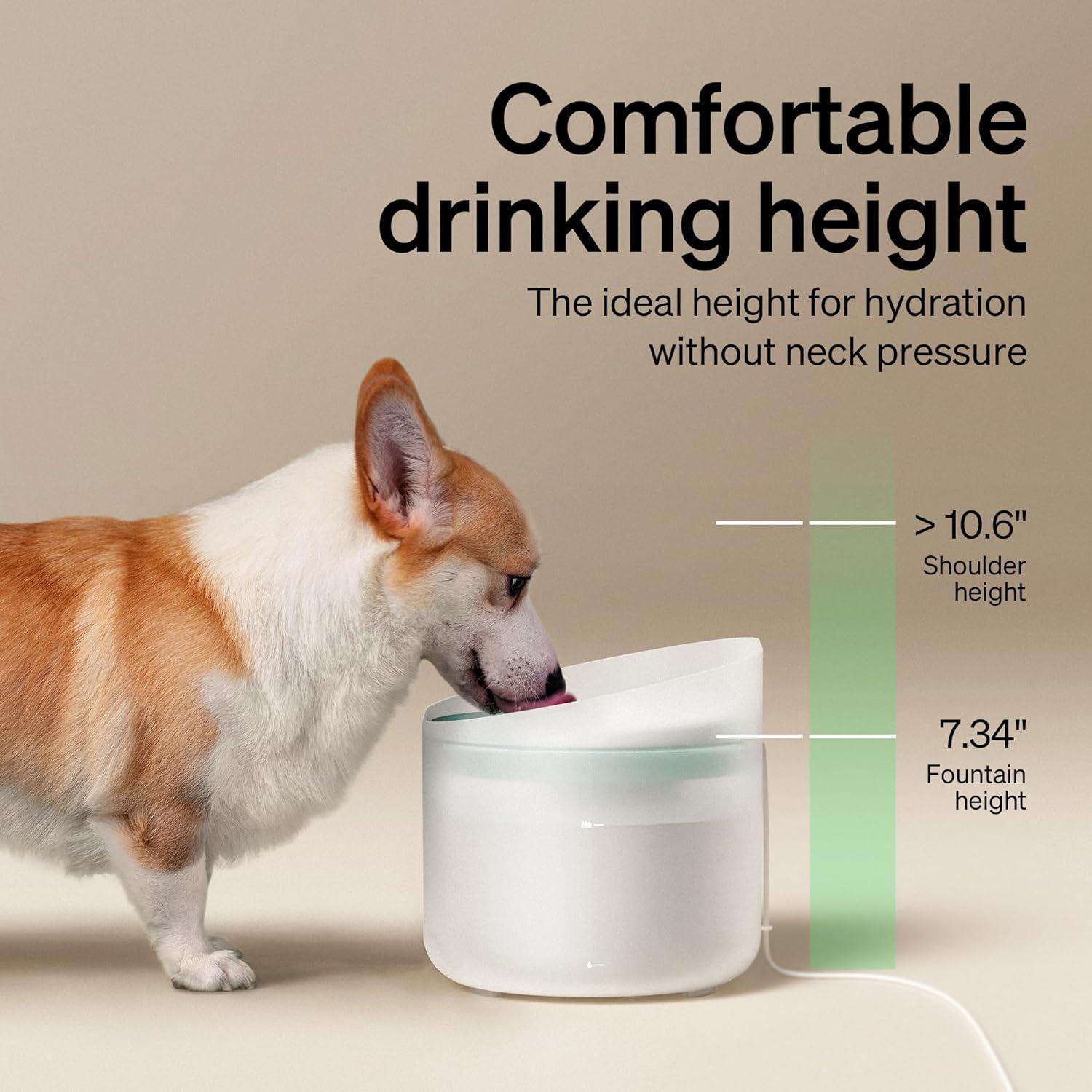 PETLIBRO 2.1Gal Capsule Dog Water Fountain with Anti-Splash Design