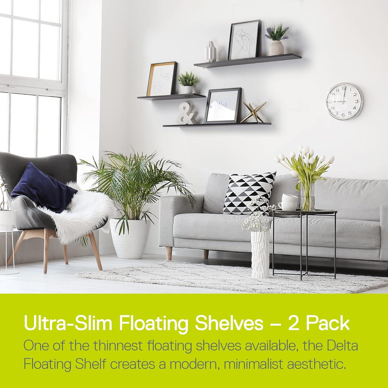 Delta Design 2 Piece Wall Shelf Set (Set of 2)