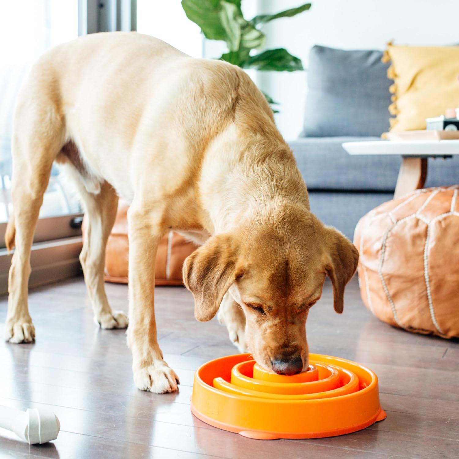 Outward Hound Outward Hound Fun Feeder Bowl, Slow Feeder Dog Bowl, Large, Orange
