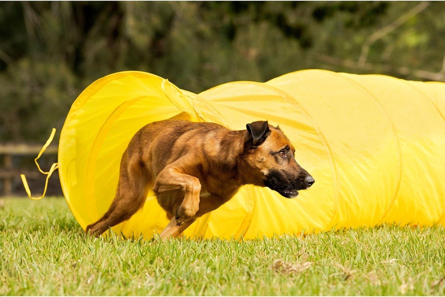 Yellow Foldable Dog Agility Training Tunnel with Stakes