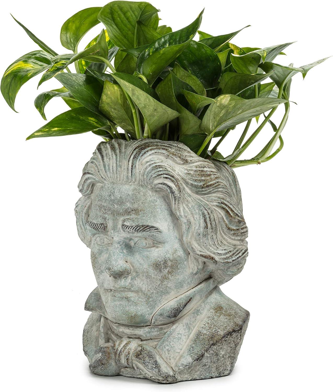 Small Gray Concrete Beethoven Head Planter