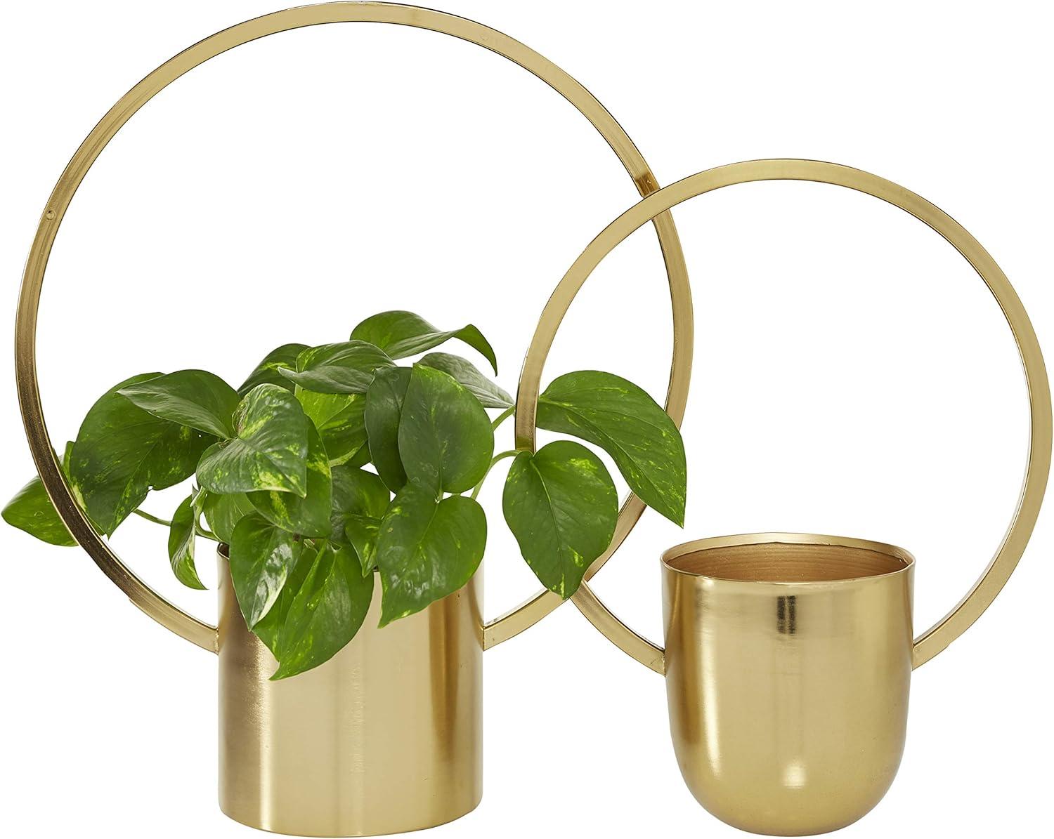 Round Gold Metal Ring Wall Planter, Set Of 2: 11", 14"