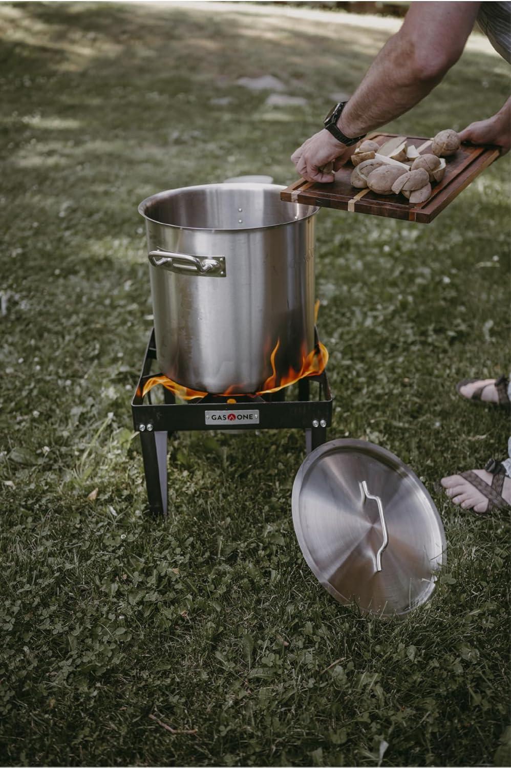 GasOne Propane Gas Outdoor Stove with High Pressure Braided Hose