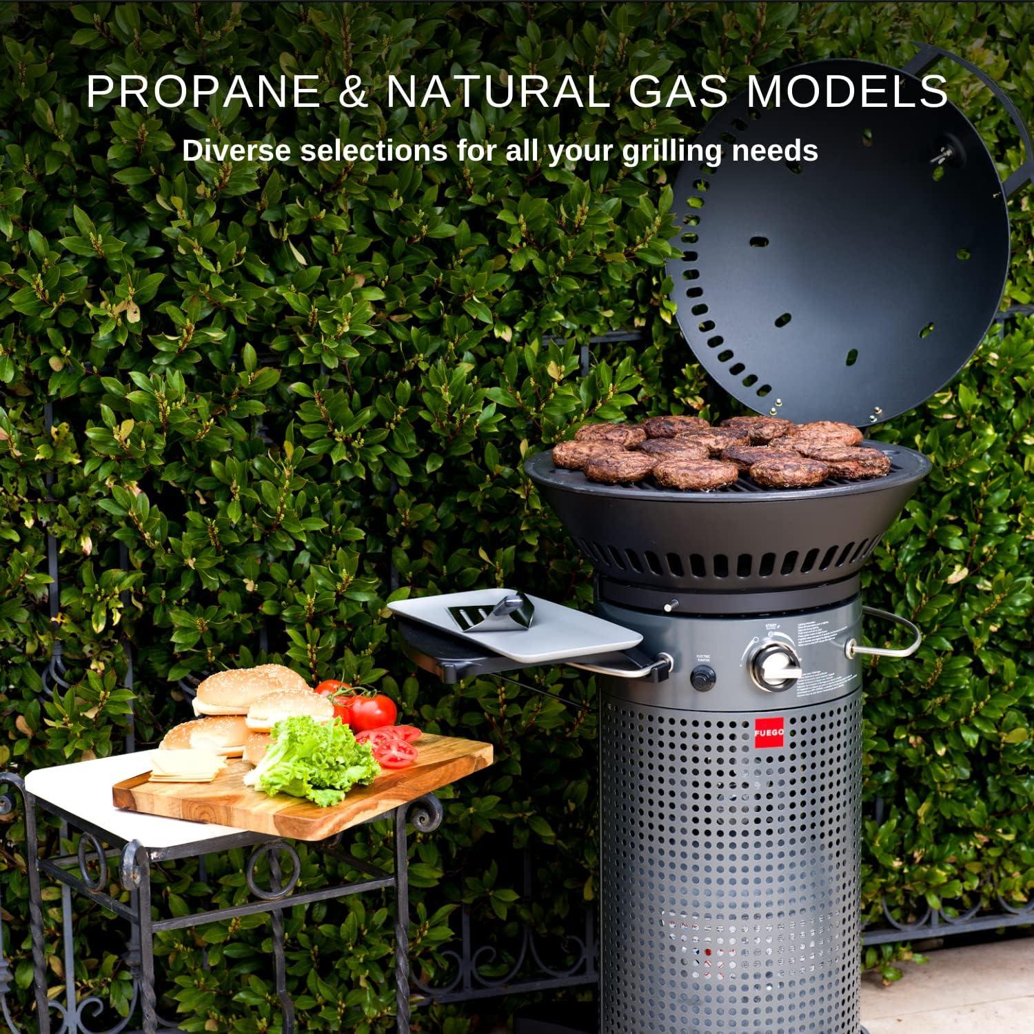 Fuego Living 2 - Burner Countertop Liquid Propane Gas Grill