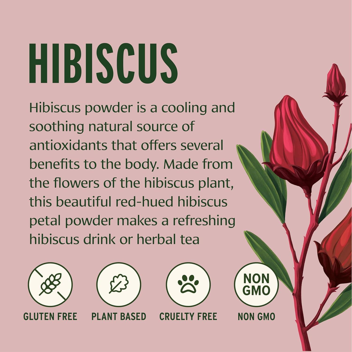 Banyan Botanicals Hibiscus Powder – Organic Hibiscus sabdaiffa – For Refreshing Hibiscus Tea – Supports Healthy Hair & Skin* – 1 lb. – Non-GMO Sustainably Sourced Vegan
