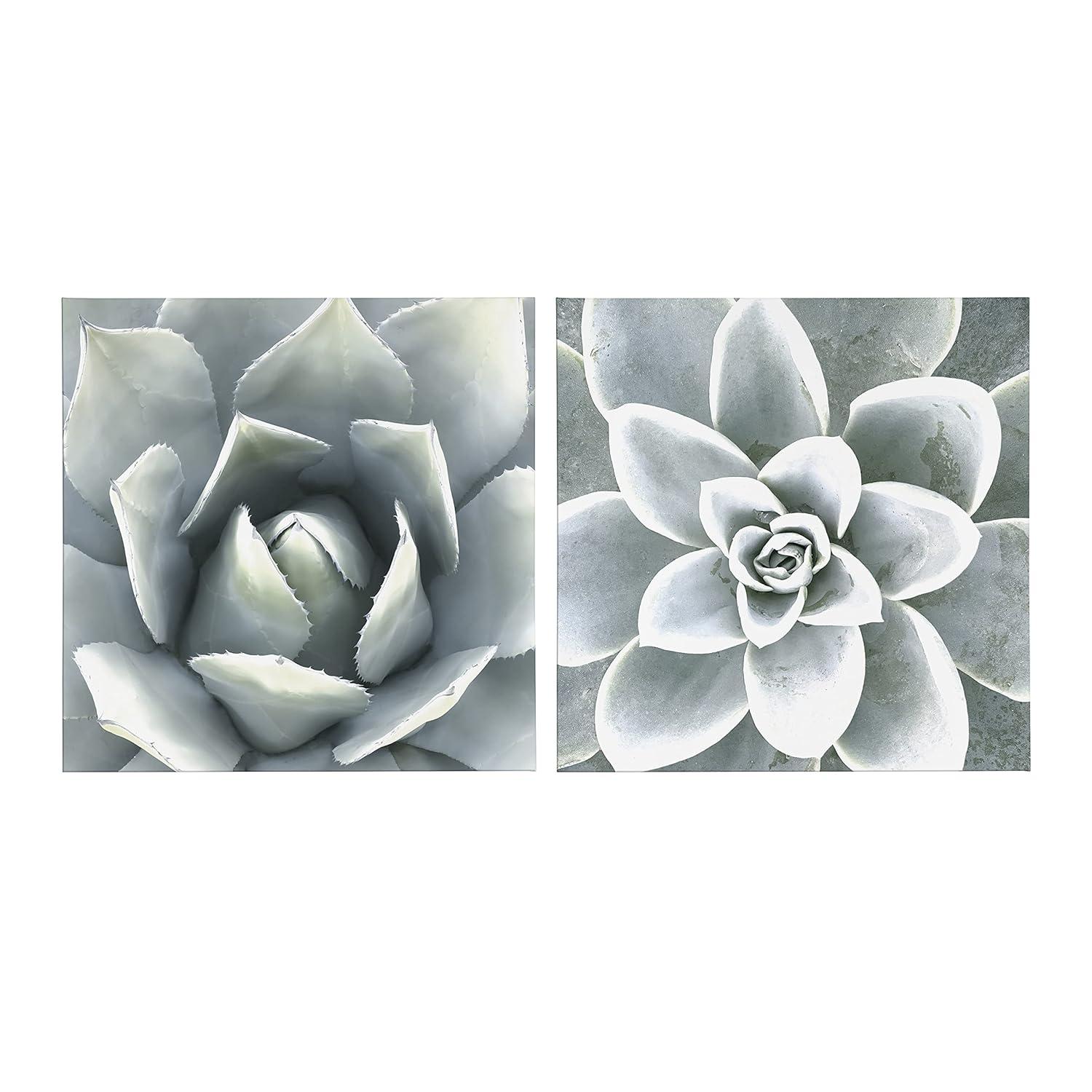 Union Rustic " Soft Botanical Succulents " by The Creative Bunch Studio 2 - Pieces