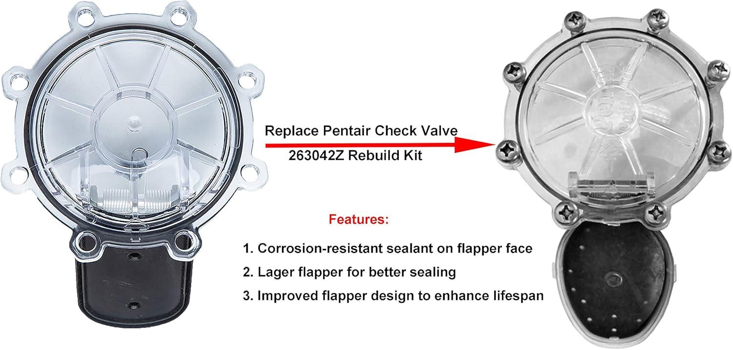 Pentair Clear CPVC 2-Inch 2-Way Pool Spa Check Valve Kit