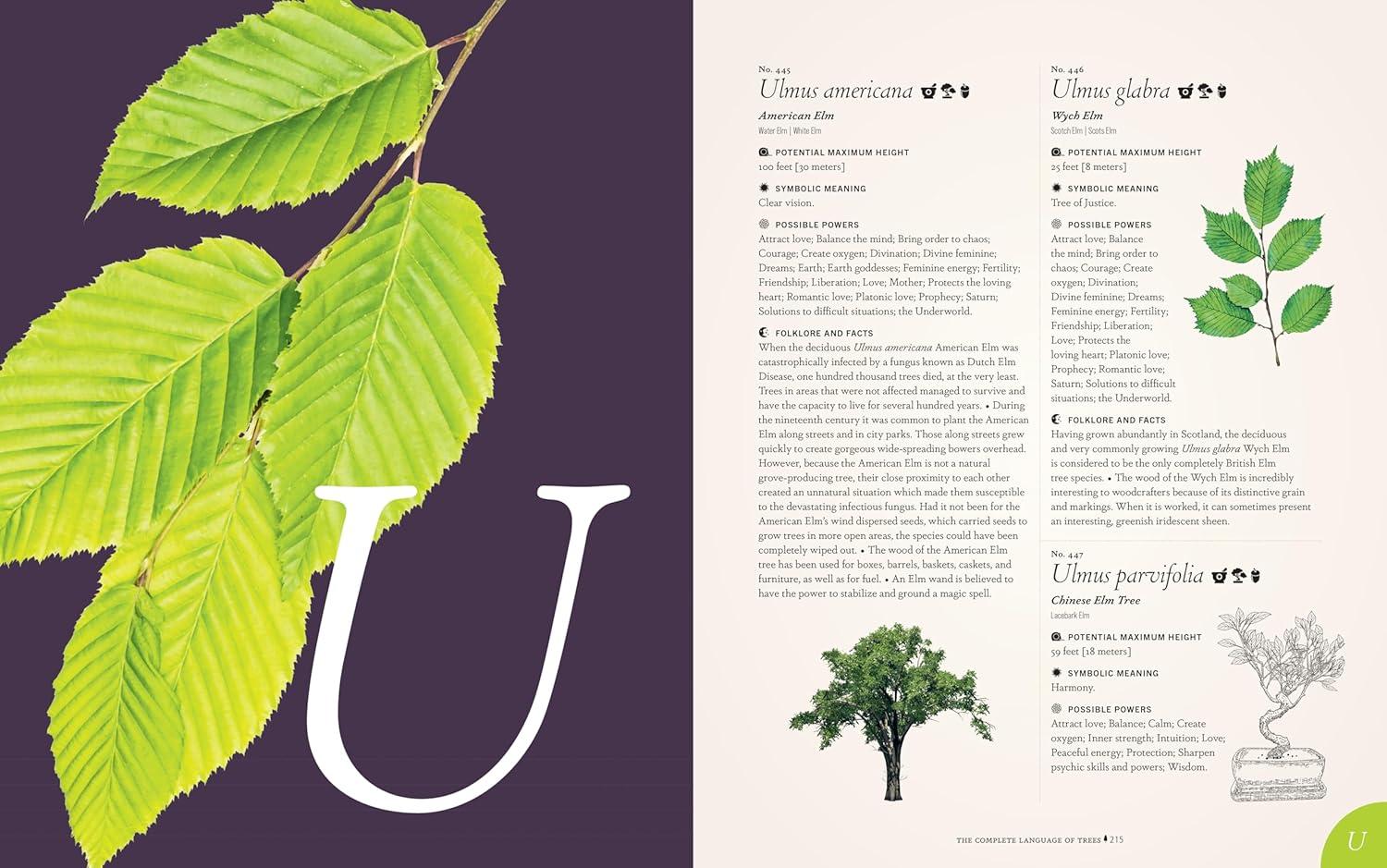 The Complete Language of Trees - Pocket Edition - by  S Theresa Dietz (Hardcover)