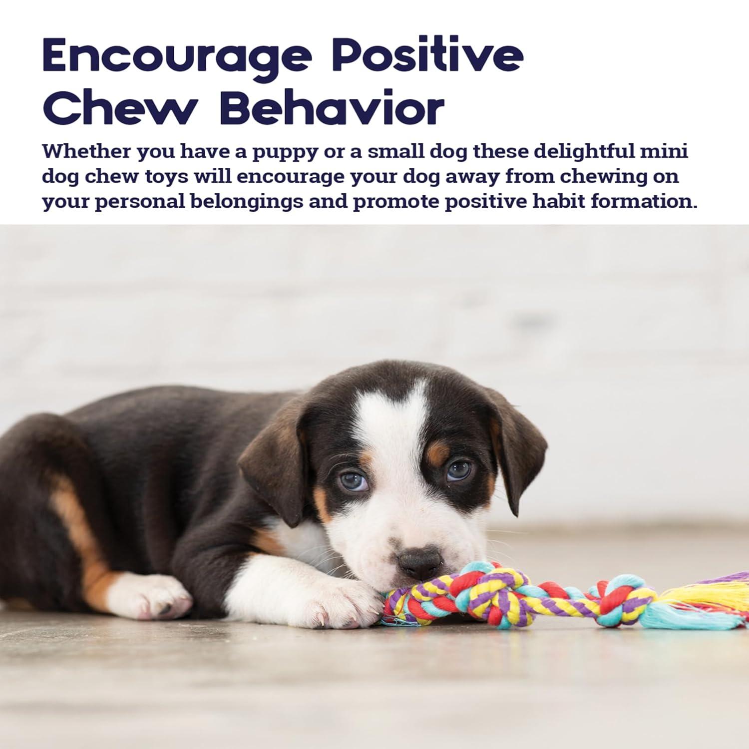 Petstages Orka Mini Dental Dog Chew Toys - 3 Pack