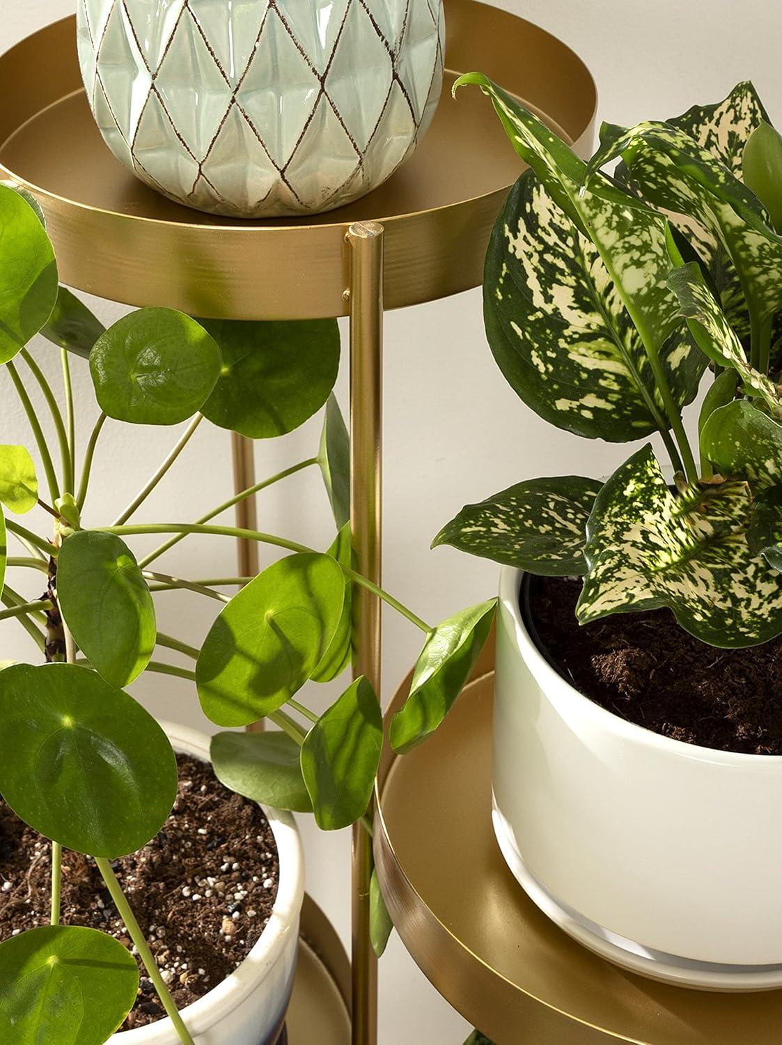 Kate and Laurel Finn Plant Stand, 10x11x44, Gold