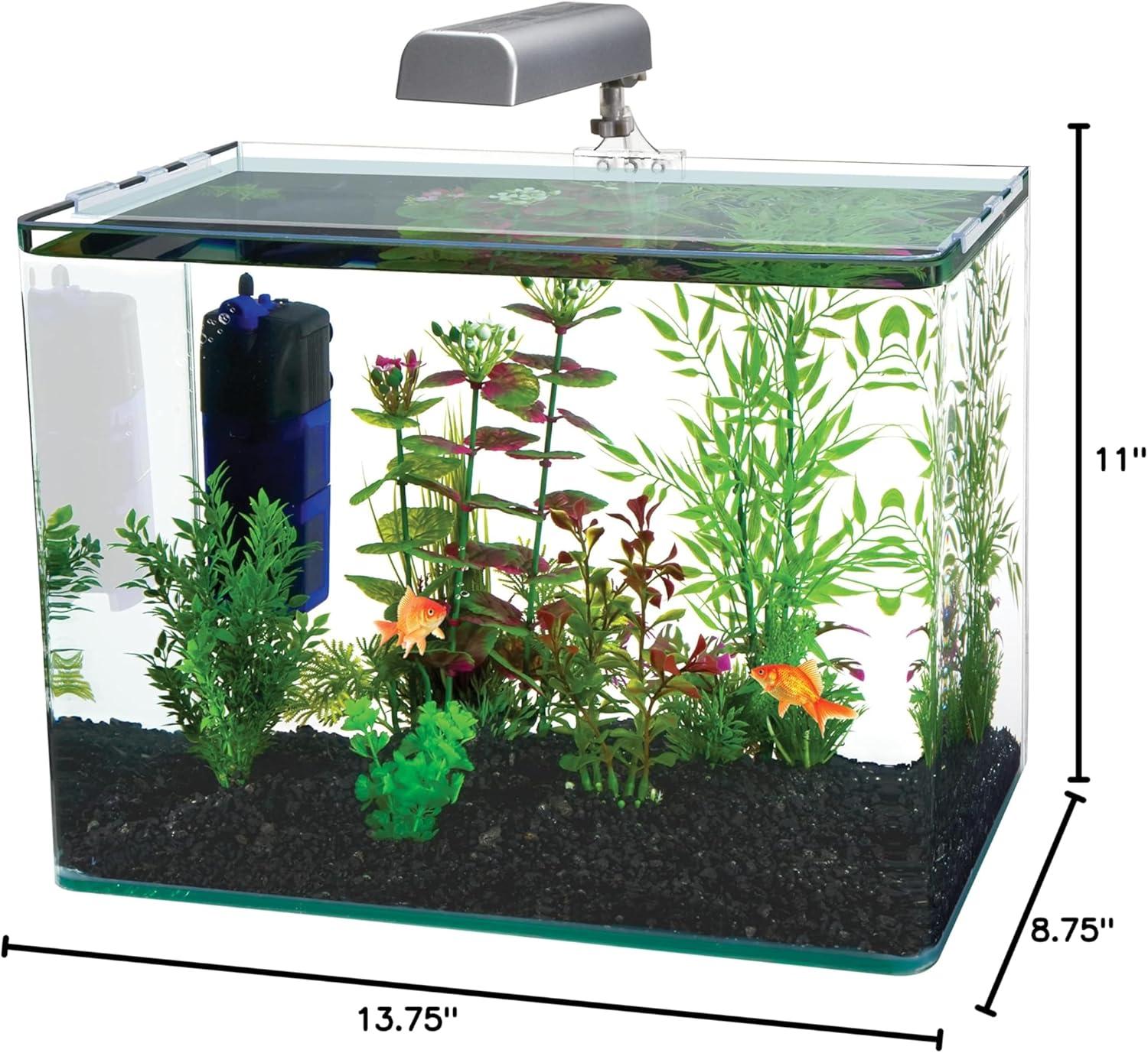 Penn Plax Radius Rectangle Nano Aquarium Kit – Includes LED Light, Internal Filter, and Mat