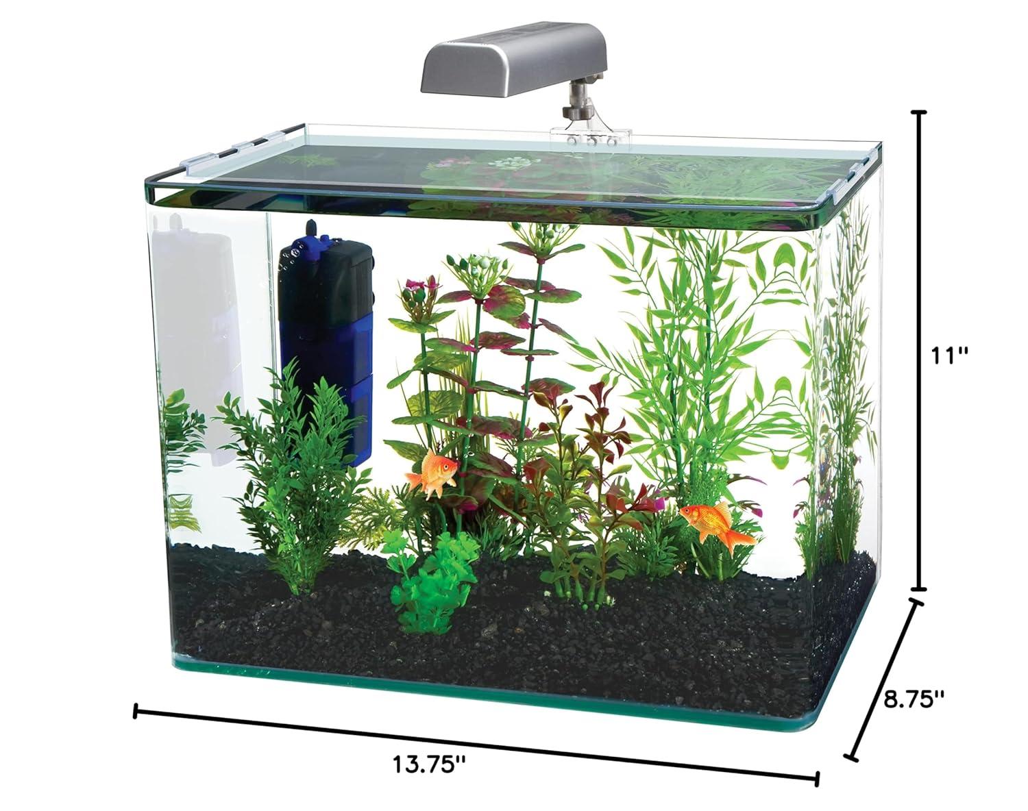Penn Plax Radius Rectangle Nano Aquarium Kit – Includes LED Light, Internal Filter, and Mat