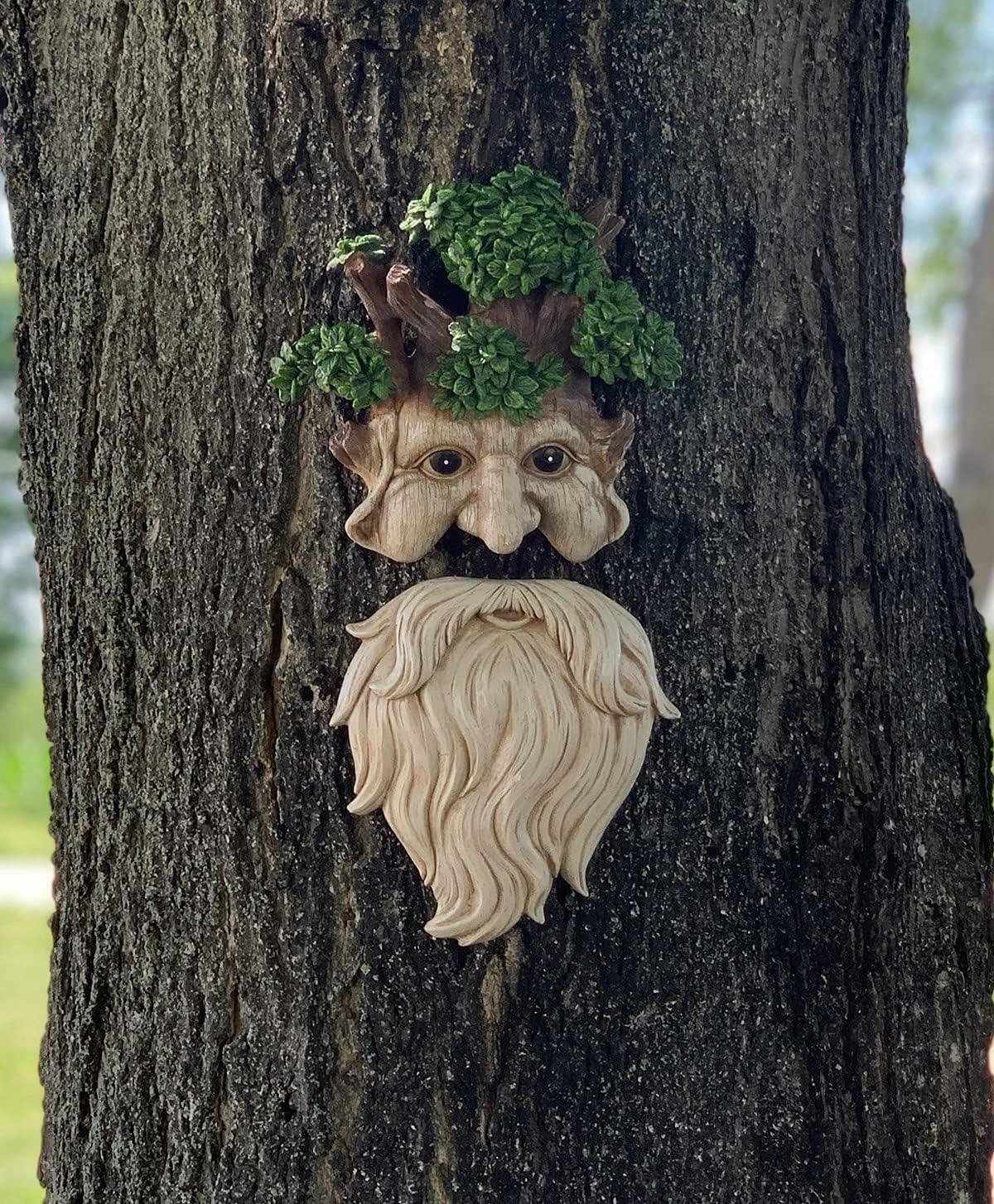 Red Carpet Studios Tree Face Old Man Stump