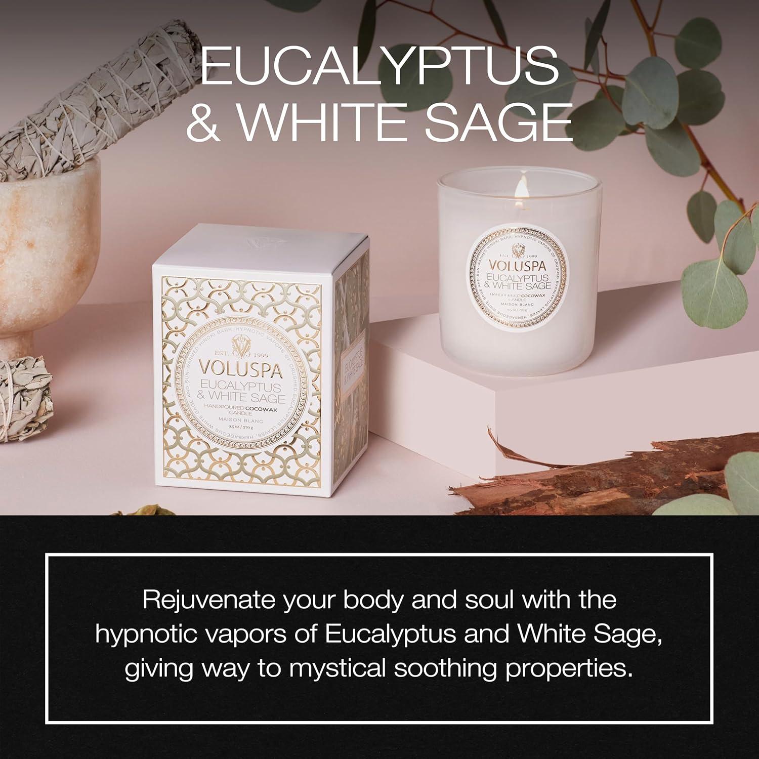 Eucalyptus & White Sage 9.5 oz Coconut Wax Candle