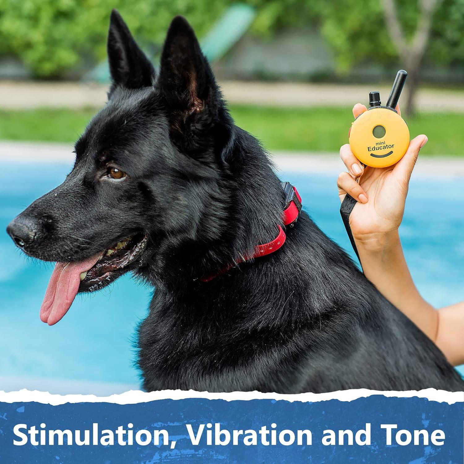 E-Collar ET-300 Mini Educator Dog Training Collar Bundle + PetsTEK Dog Clicker – 1/2 Mile Range, Waterproof, 100 Levels with Vibration & Tone