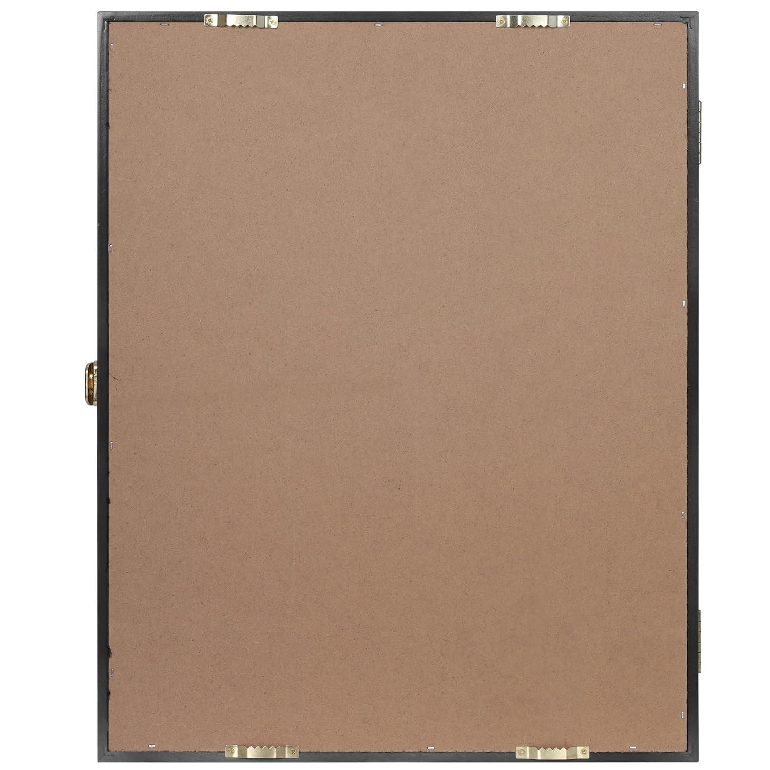 Challenge Coin / Casino Chip Display Case Cabinet Holder Shadow Box, Glass Door, Black (COIN56-BL)