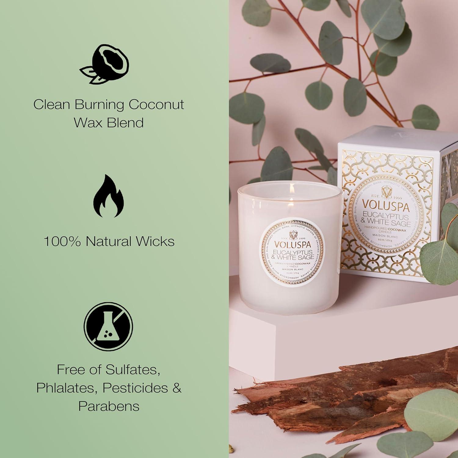 Eucalyptus & White Sage 9.5 oz Coconut Wax Candle