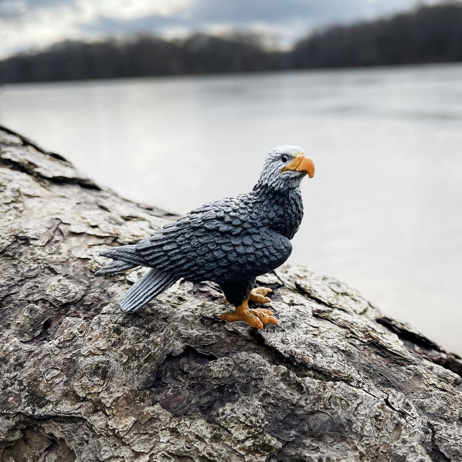 Safari Ltd. River Ecosystem TOOB - Figurines of Bald Eagle, Beaver, Alligator & More - Fun Educational Play Toy for Boys, Girls & Kids Ages 3+