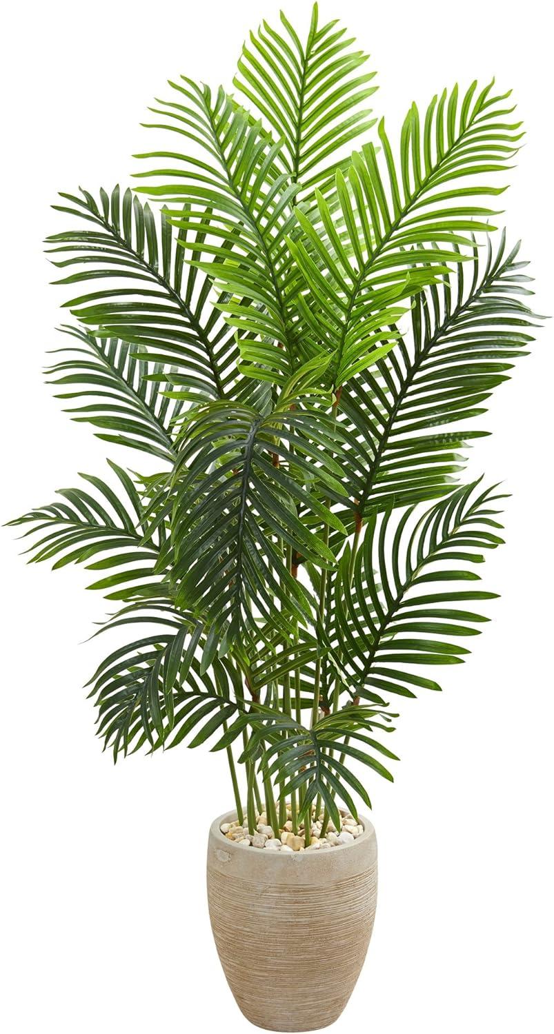Lush Green 5ft Paradise Palm in Off-White Planter