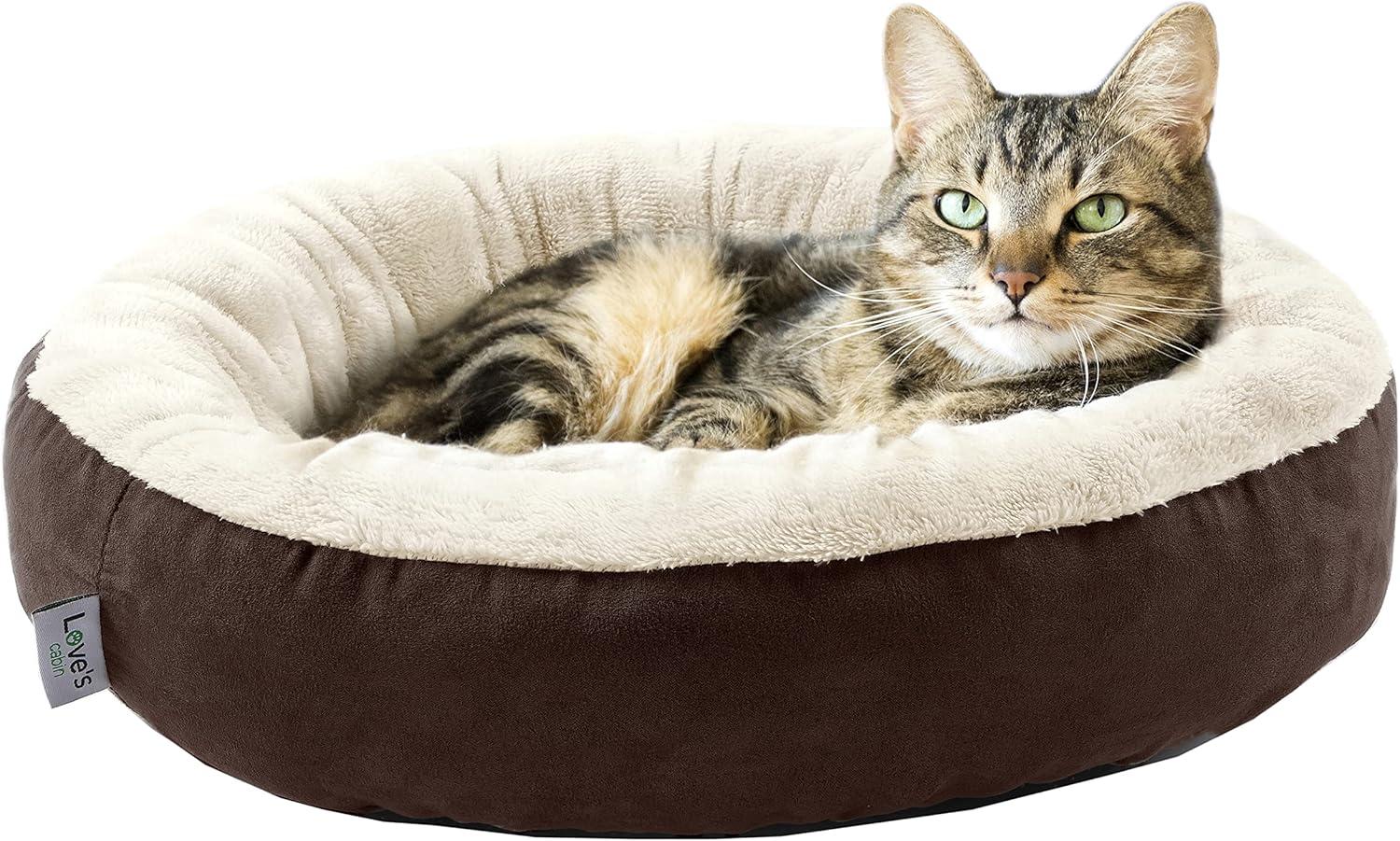 Archie & Oscar™ Round Donut Cat And Dog Cushion Bed, 20In Pet Bed For Cats Or Small Dogs, Anti-Slip & Water-Resistant Bottom, Super Soft Durable Fabric Pet Beds, Washable Luxury Cat & Dog Bed