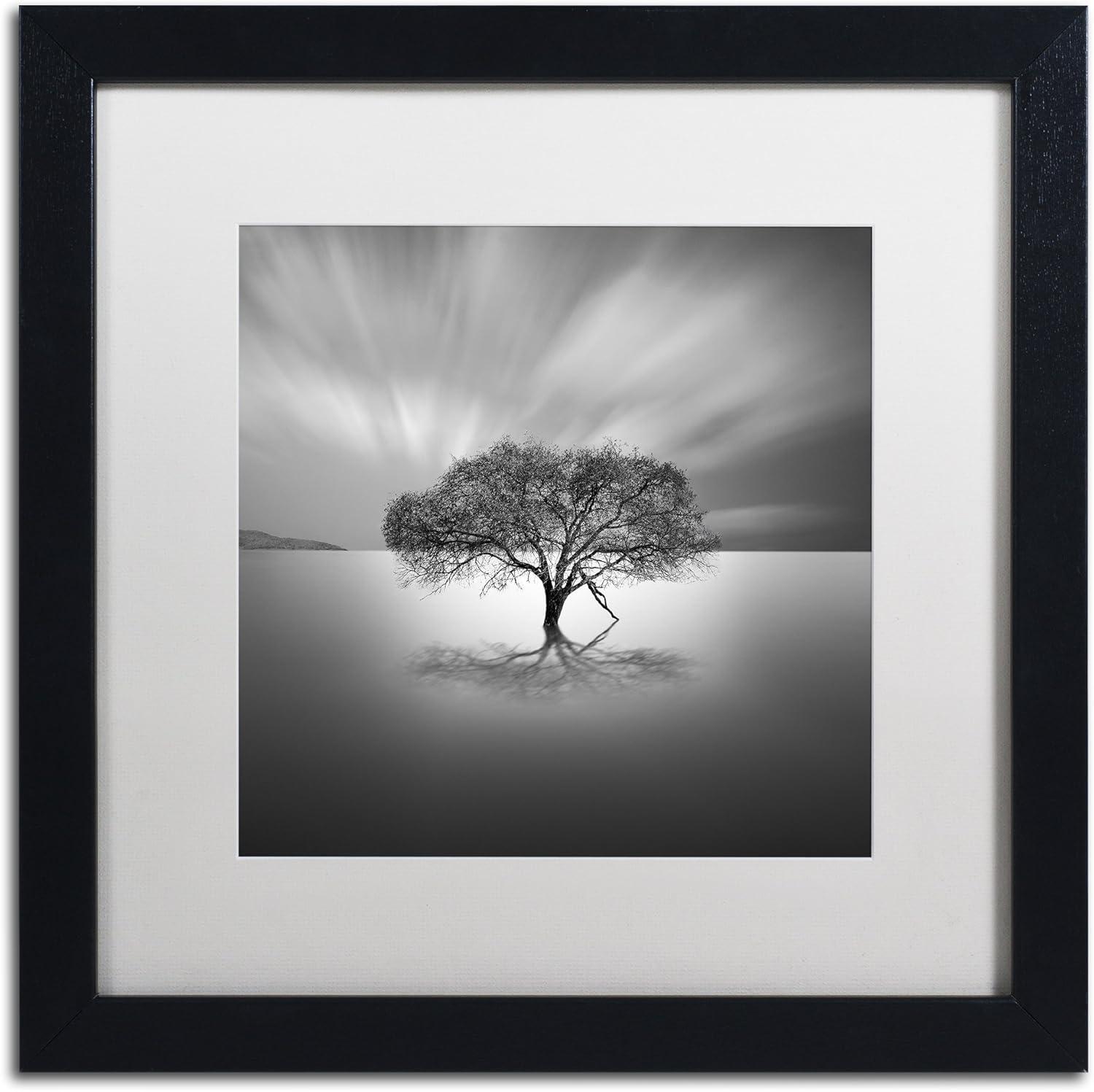 Trademark Fine Art - Moises Levy 'Water Tree VIII' Matted Framed Art