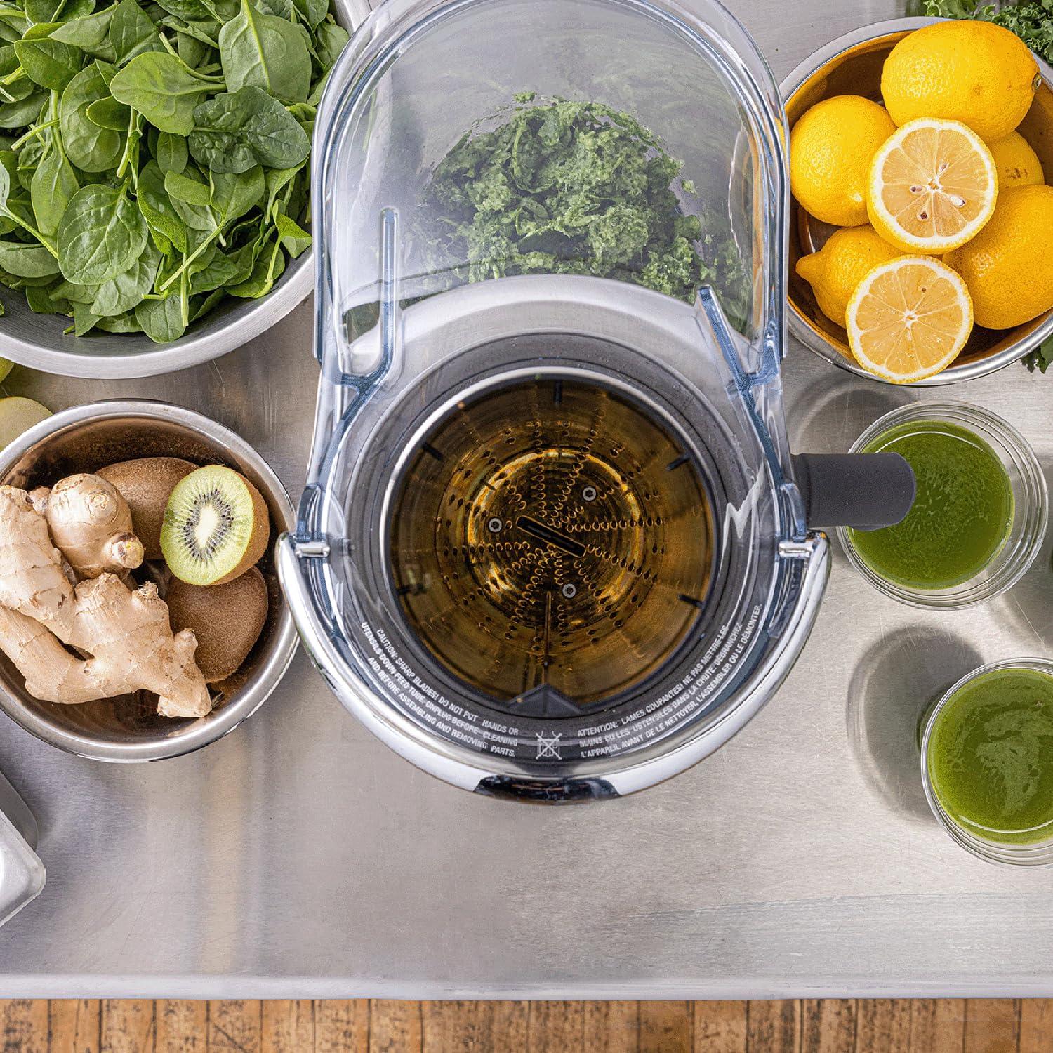 XL Stainless Steel Electric Centrifugal Juicer with Variable Speed