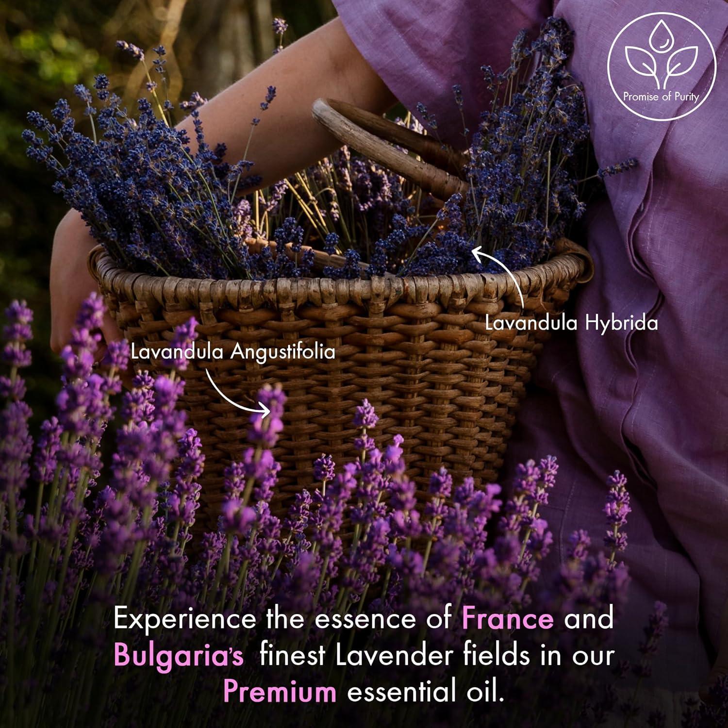 MAJESTIC PURE Lavender Essential Oil | 100% Pure and Natural Lavender Oil | Premium Grade Essential Oils for Hair Care, Home Diffusers, Skin, Aromatherapy, Massage and Humidifiers | 4 Fl Oz